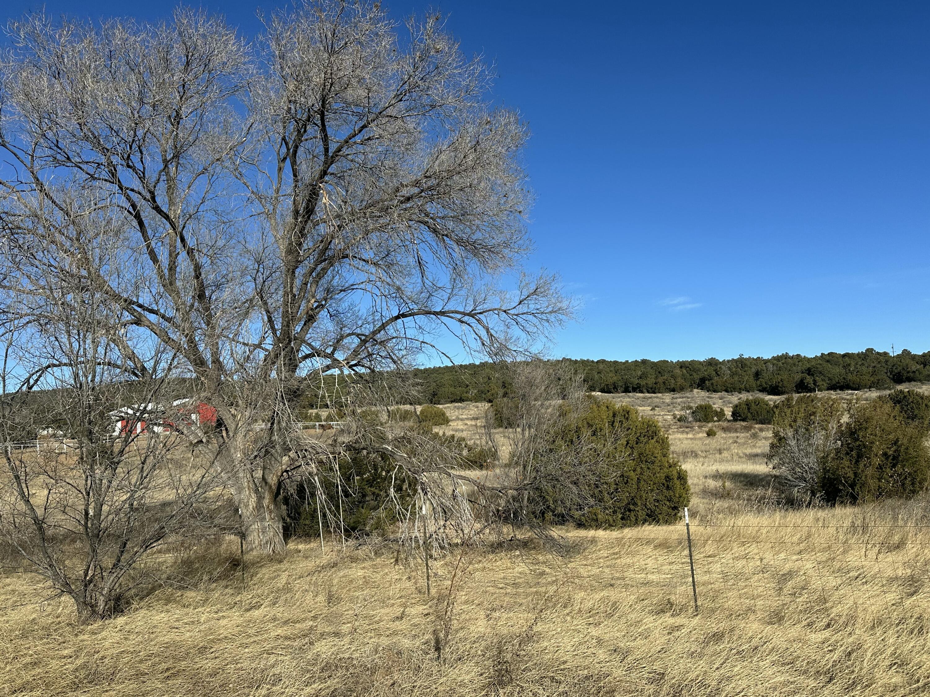 Photo 15 — 108 Brannan Rd Road