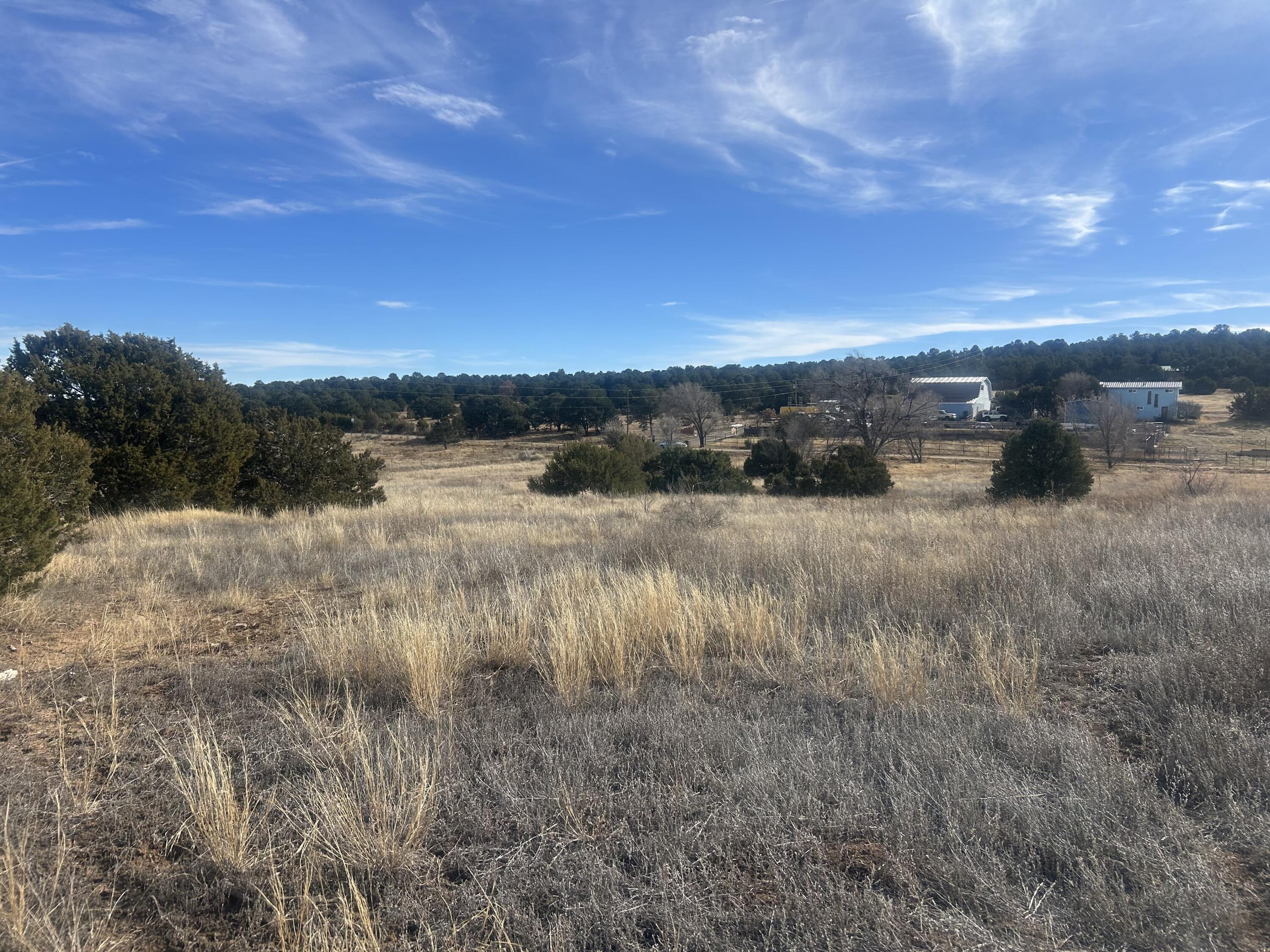 Photo 17 — 108 Brannan Rd Road