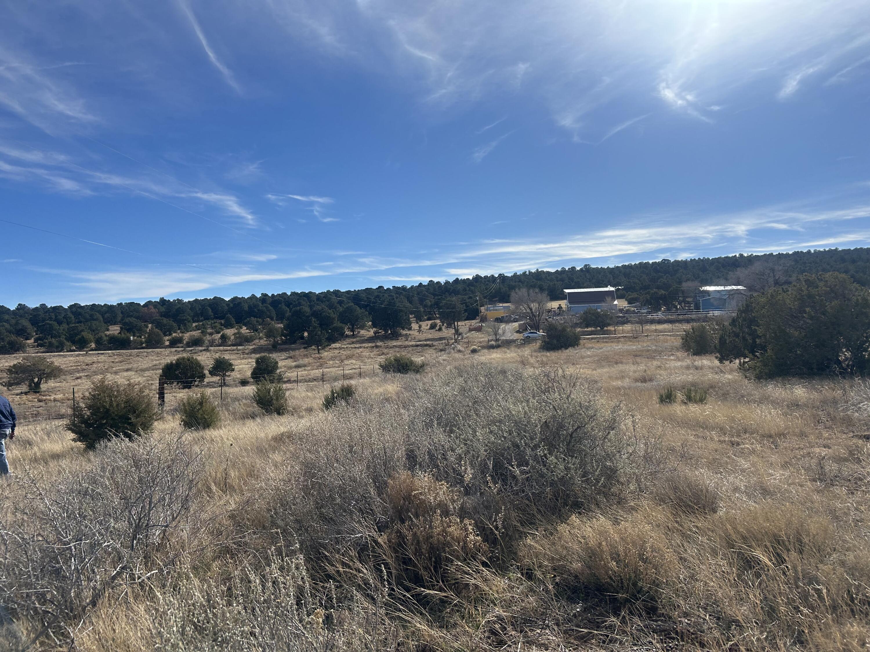 Photo 18 — 108 Brannan Rd Road