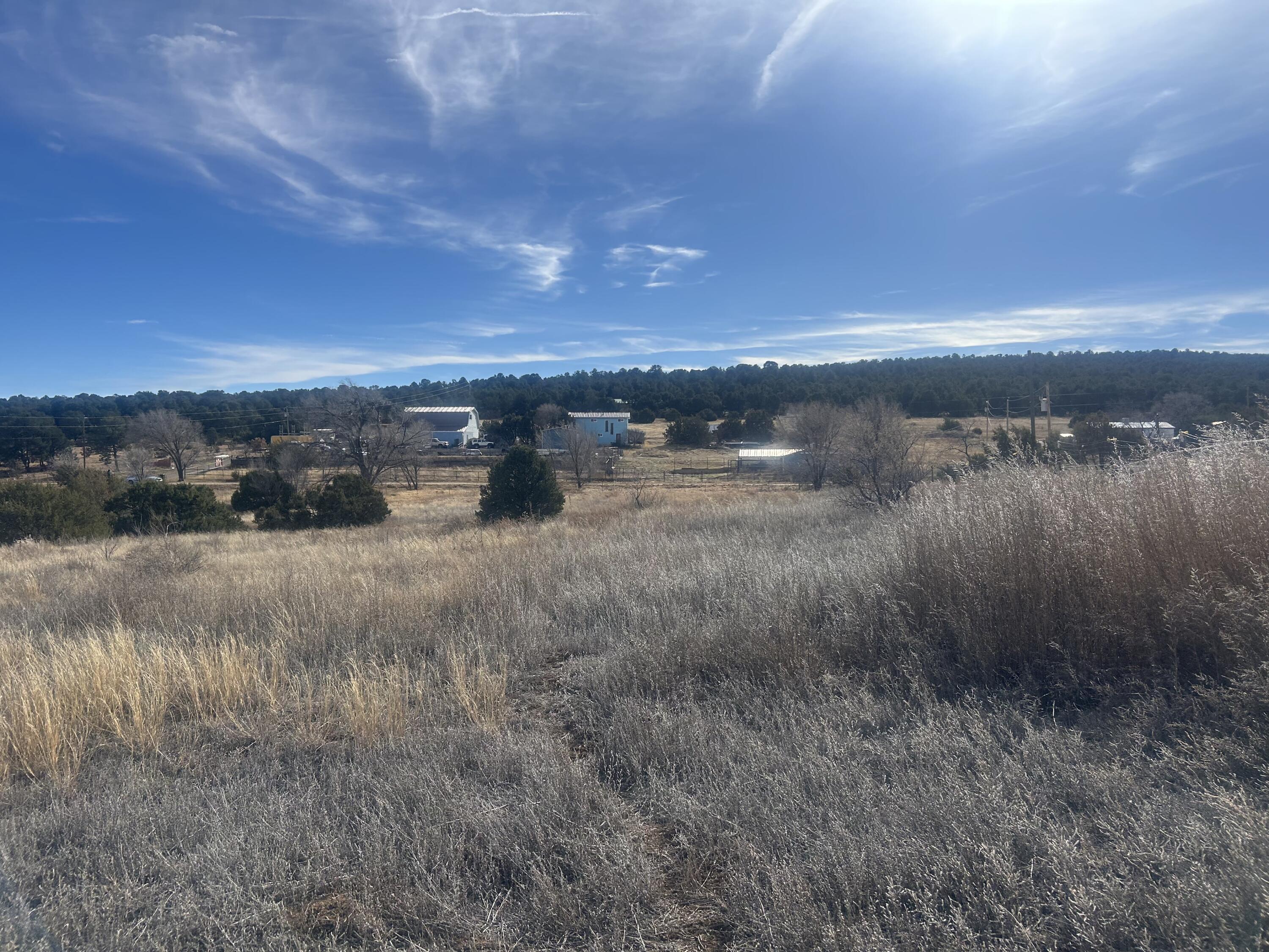 Photo 19 — 108 Brannan Rd Road