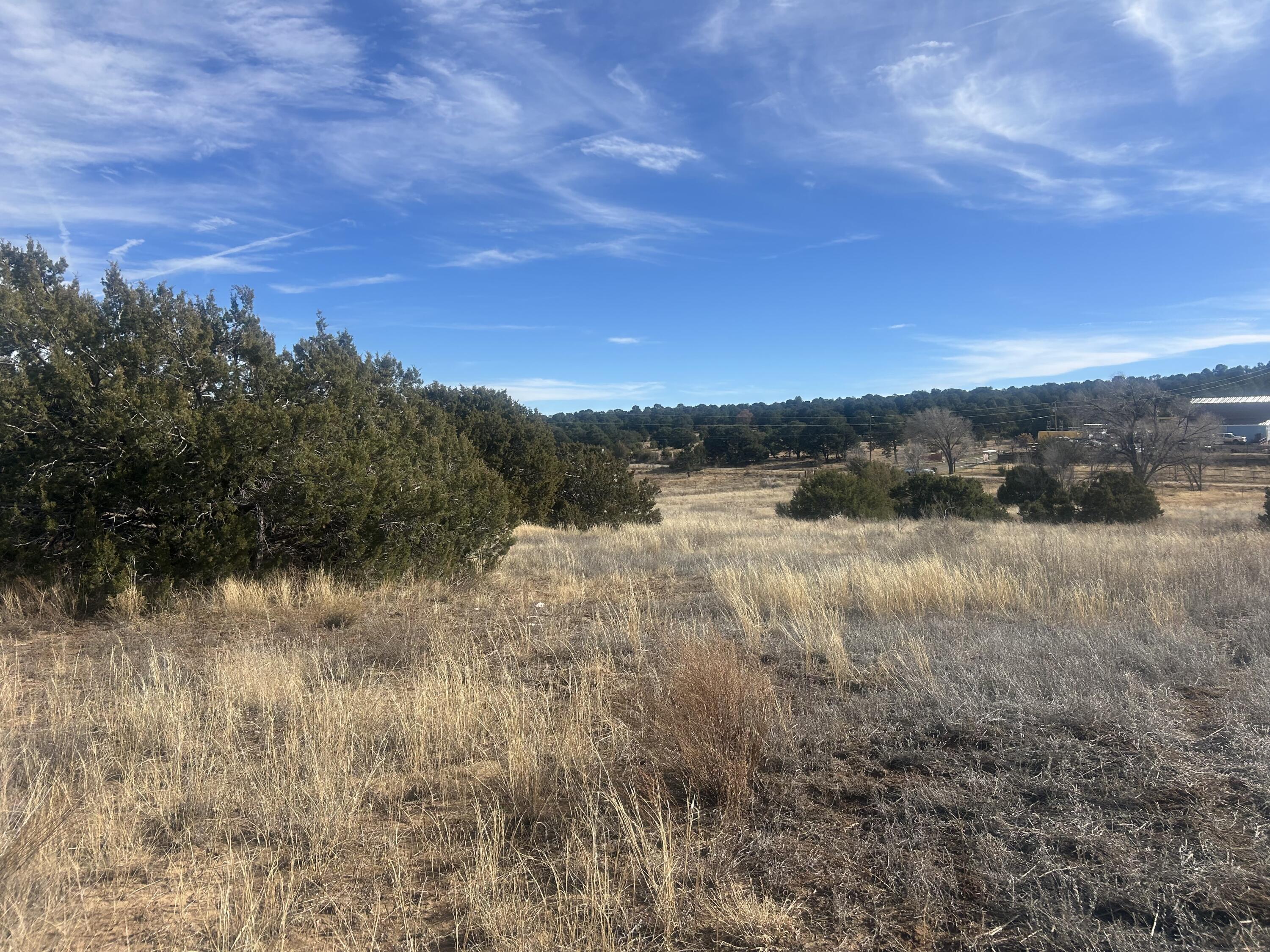 Photo 20 — 108 Brannan Rd Road