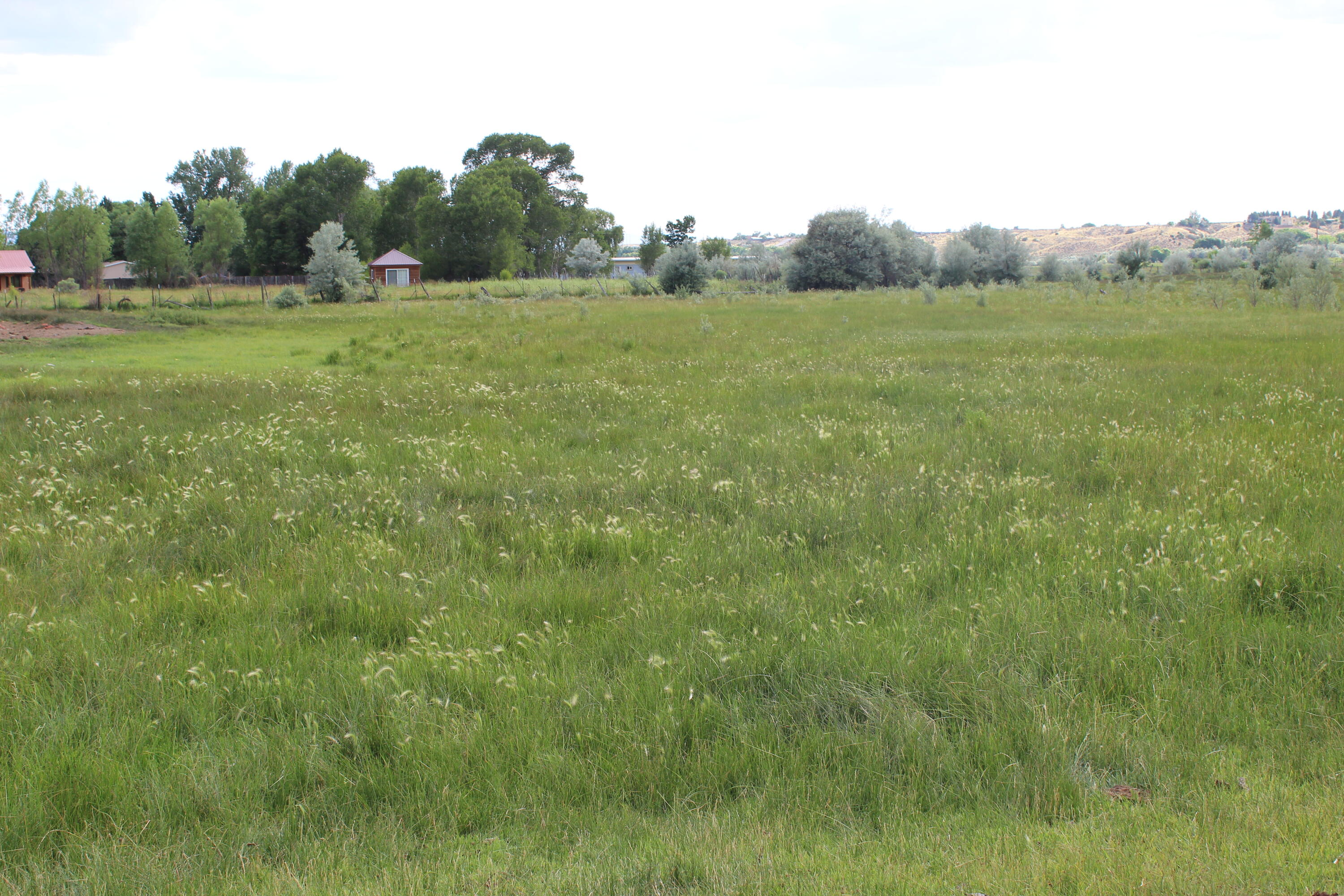 Photo 17 —  La Senisa Rd.