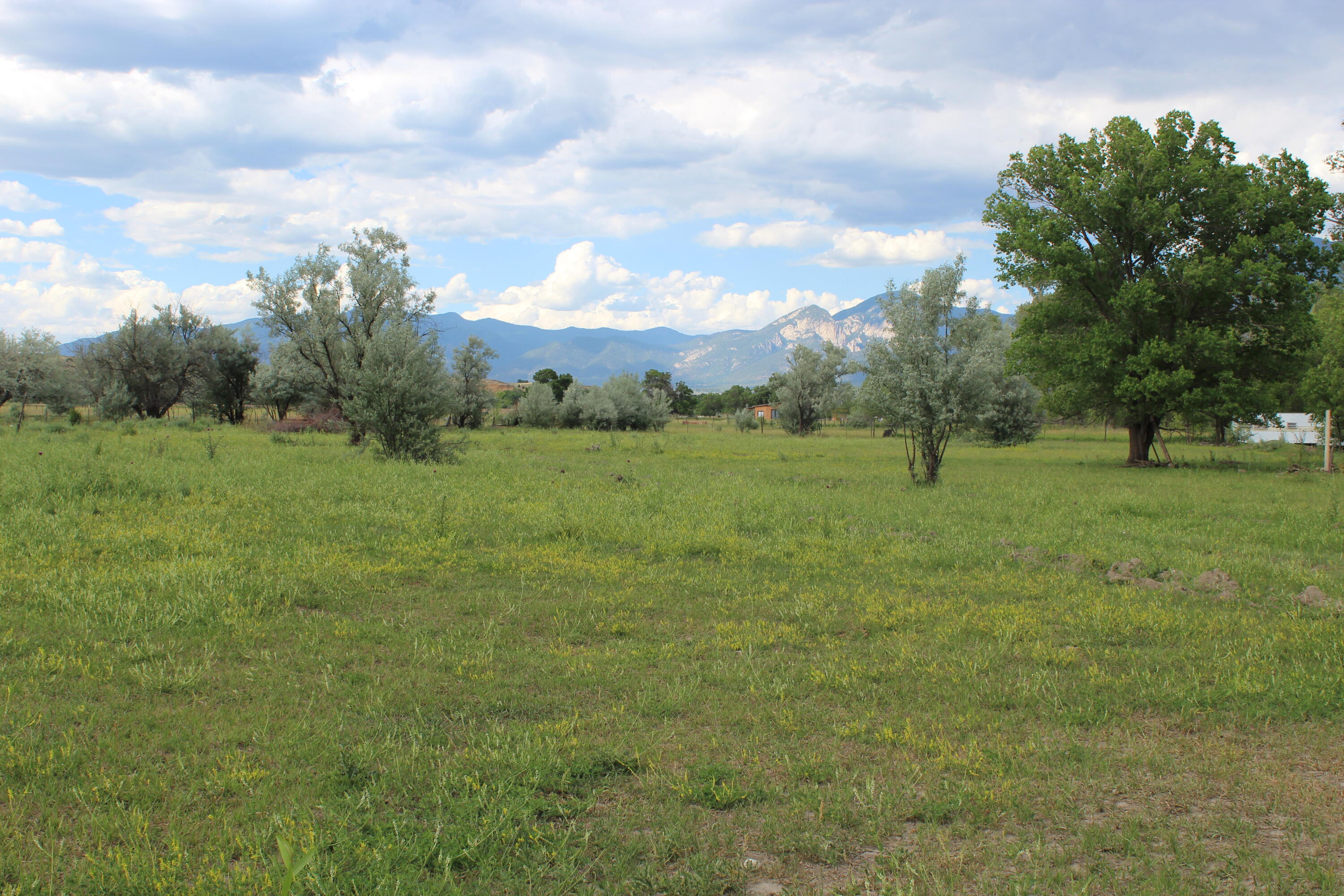 Photo 4 —  La Senisa Rd.