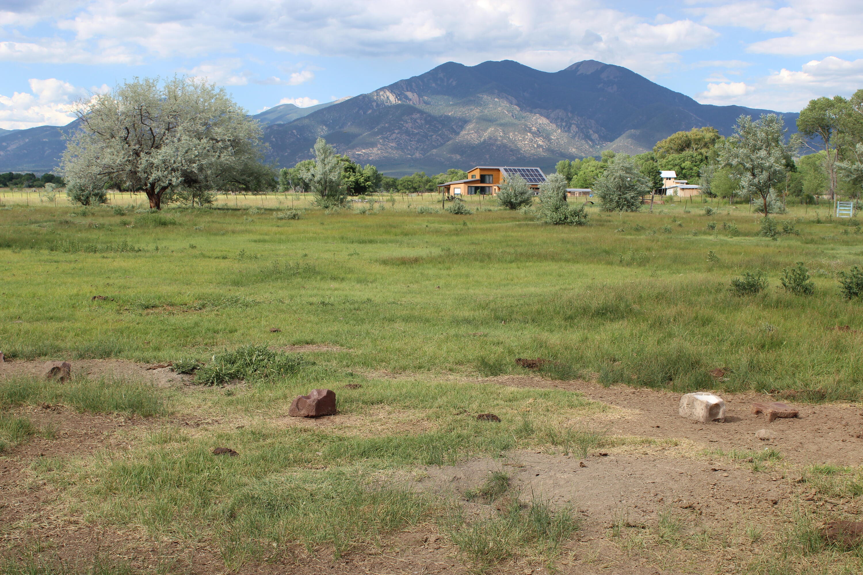 Photo 14 —  La Senisa Rd.