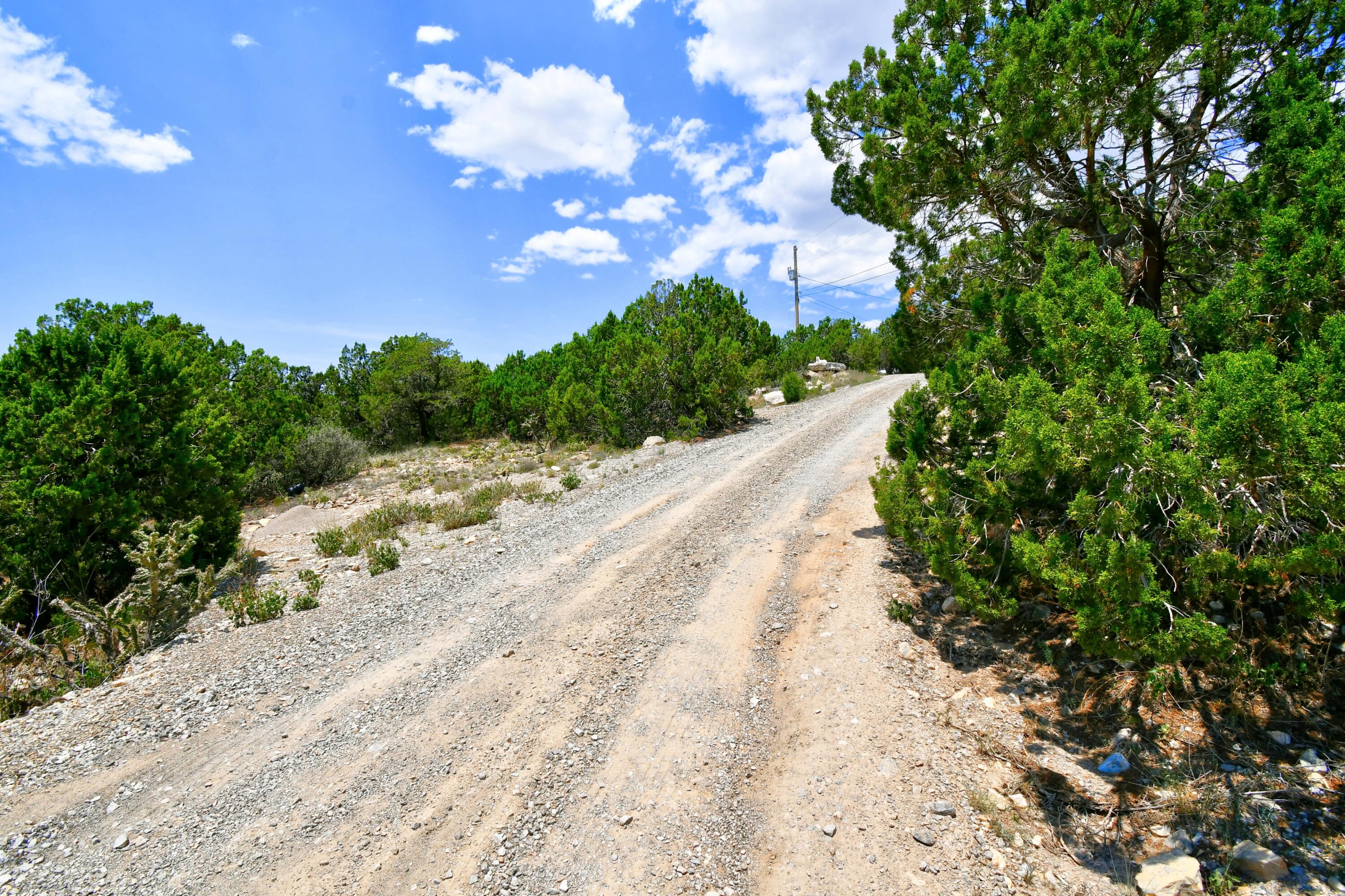Photo 8 — 0 Unassigned Road