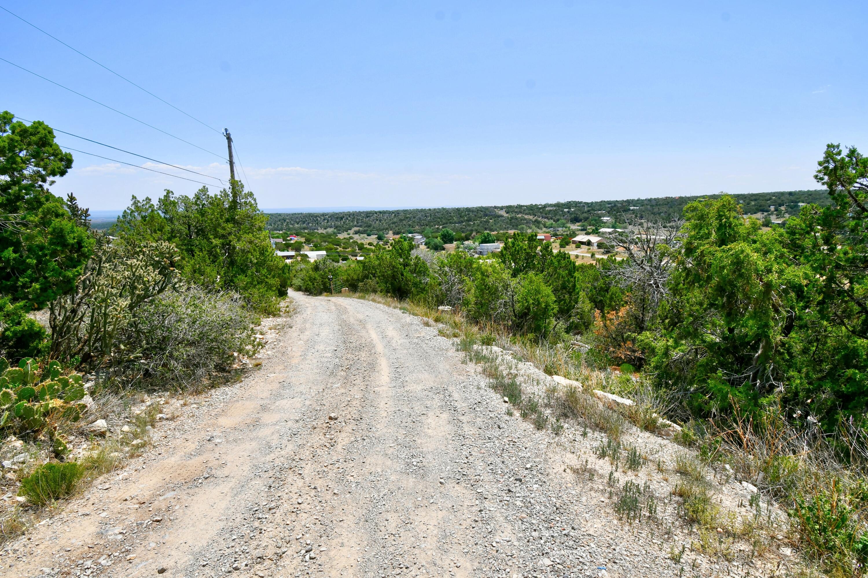 Photo 17 — 0 Unassigned Road