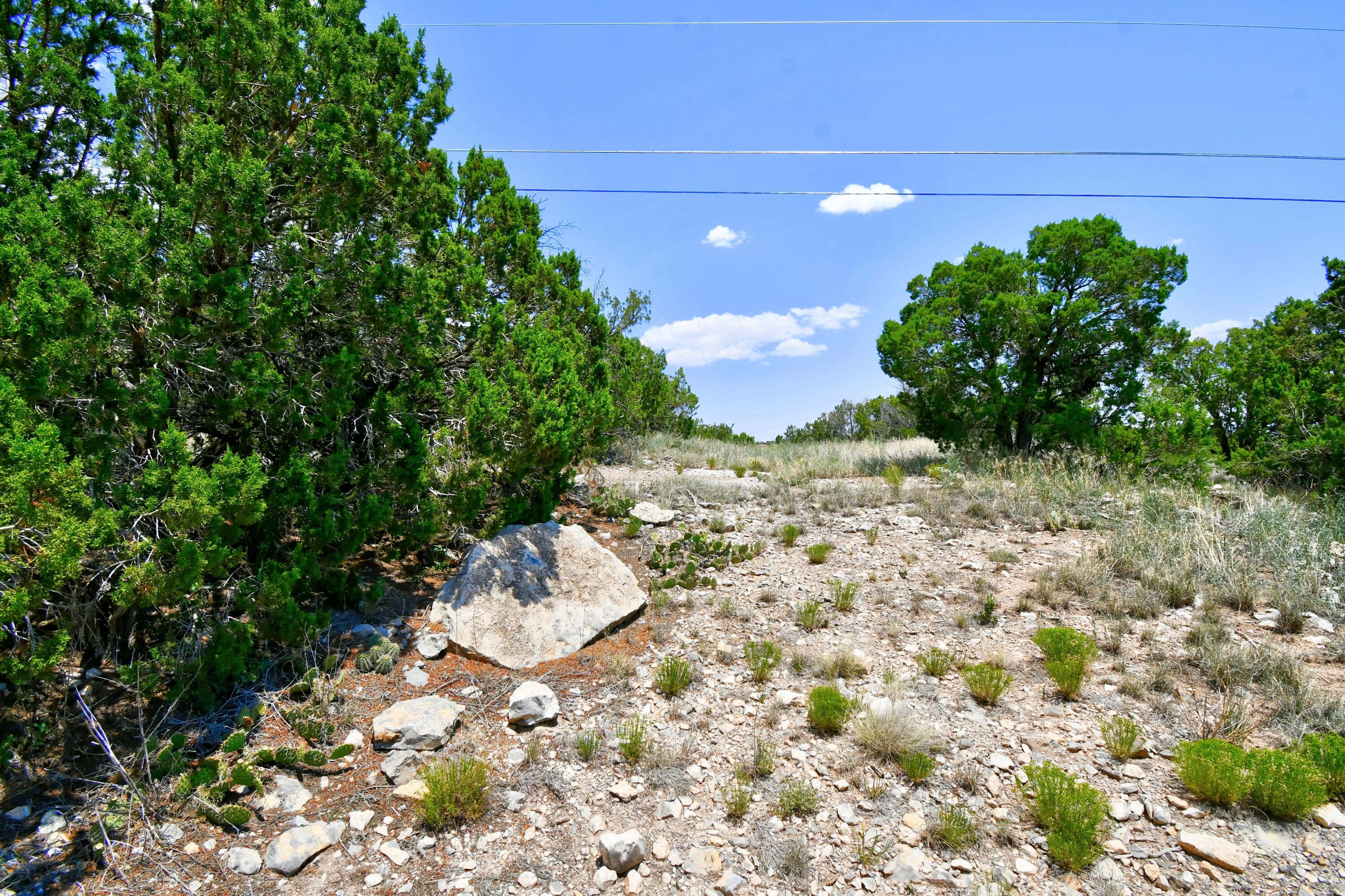 Photo 14 — 0 Unassigned Road