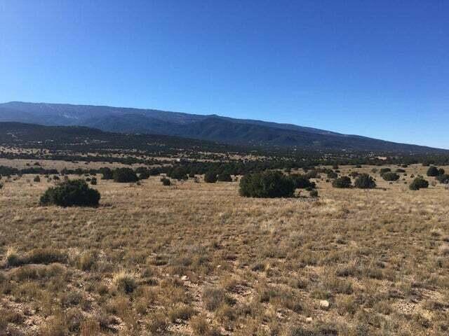Photo 4 — 42 Camino Real