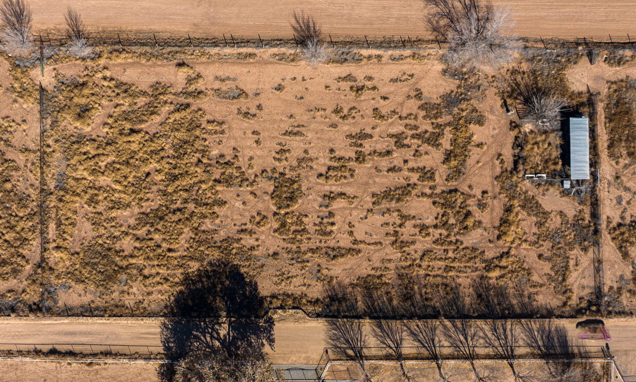 Photo 3 — 3LOTS Mariposa Lane