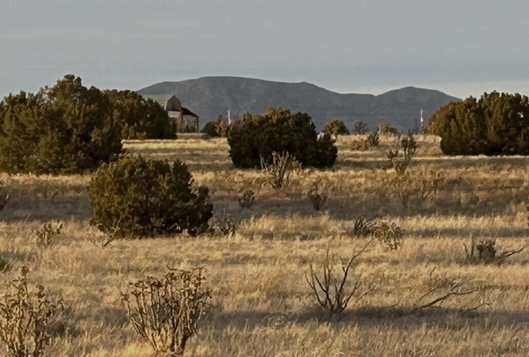 51 Williams Ranch Road, Edgewood, NM 87015