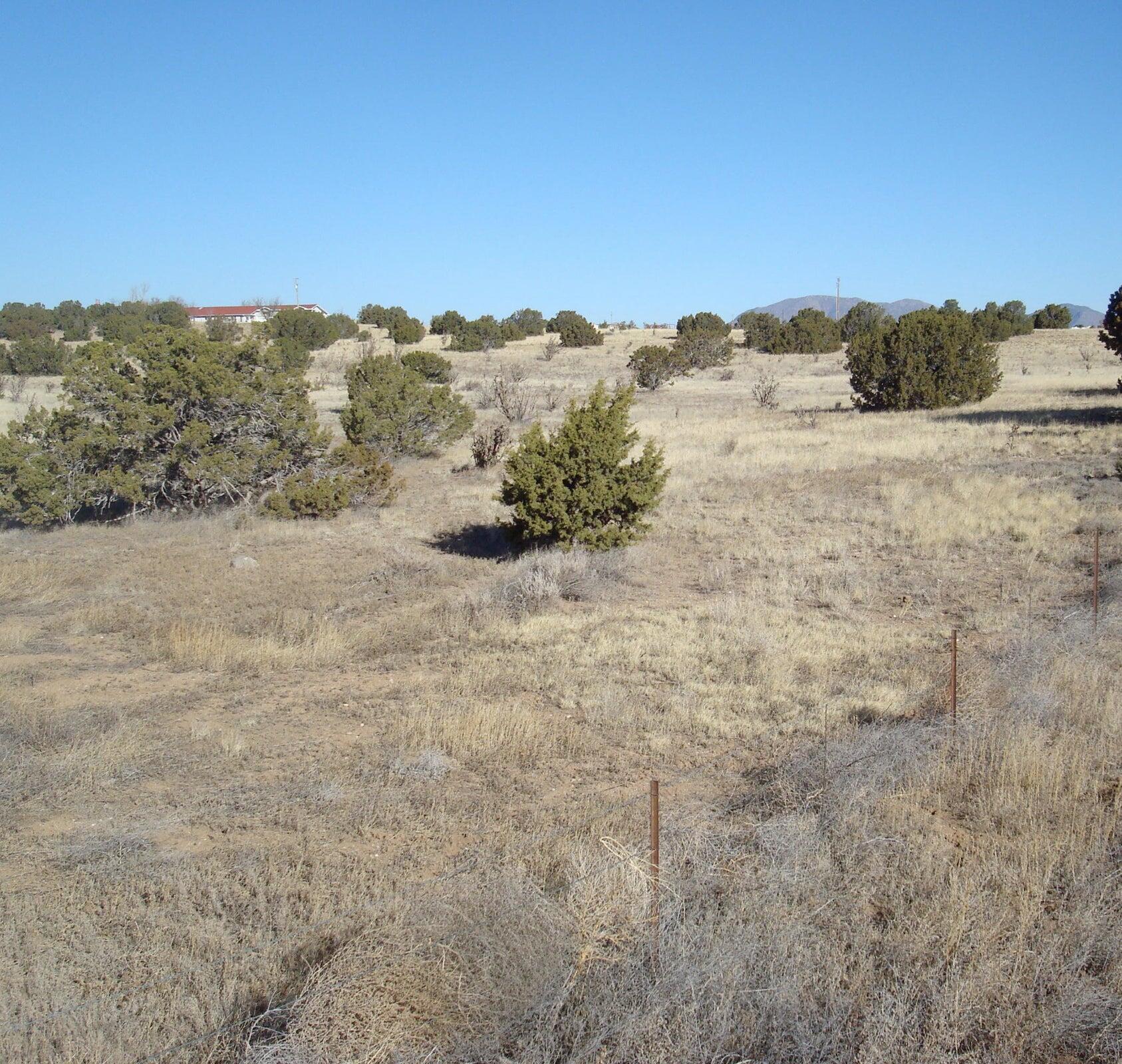 Photo 4 — 51 Williams Ranch Road