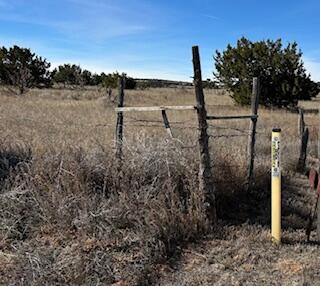 Photo 3 — 51 Williams Ranch Road