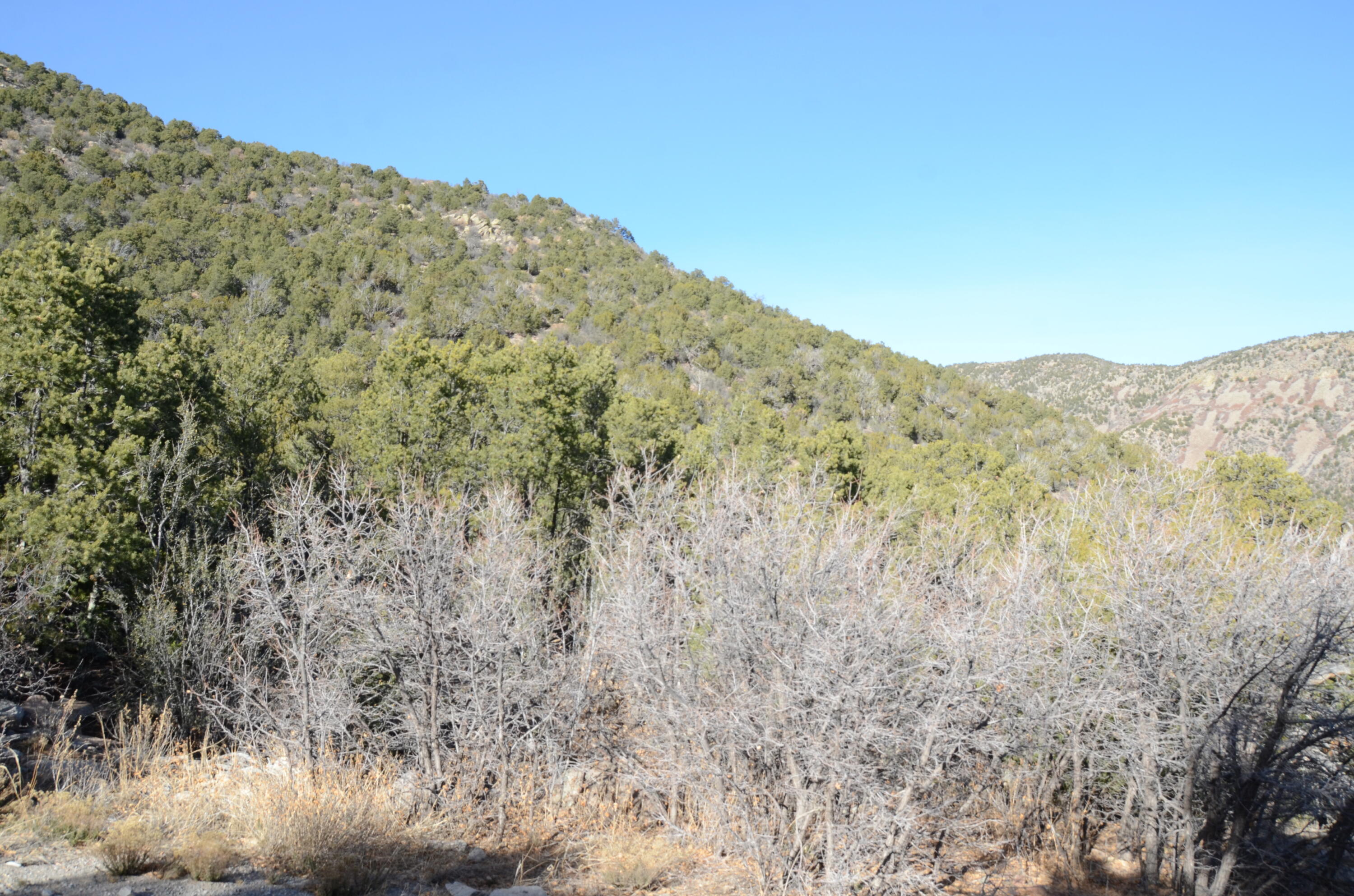 Photo 7 — 80 N Mountain Road
