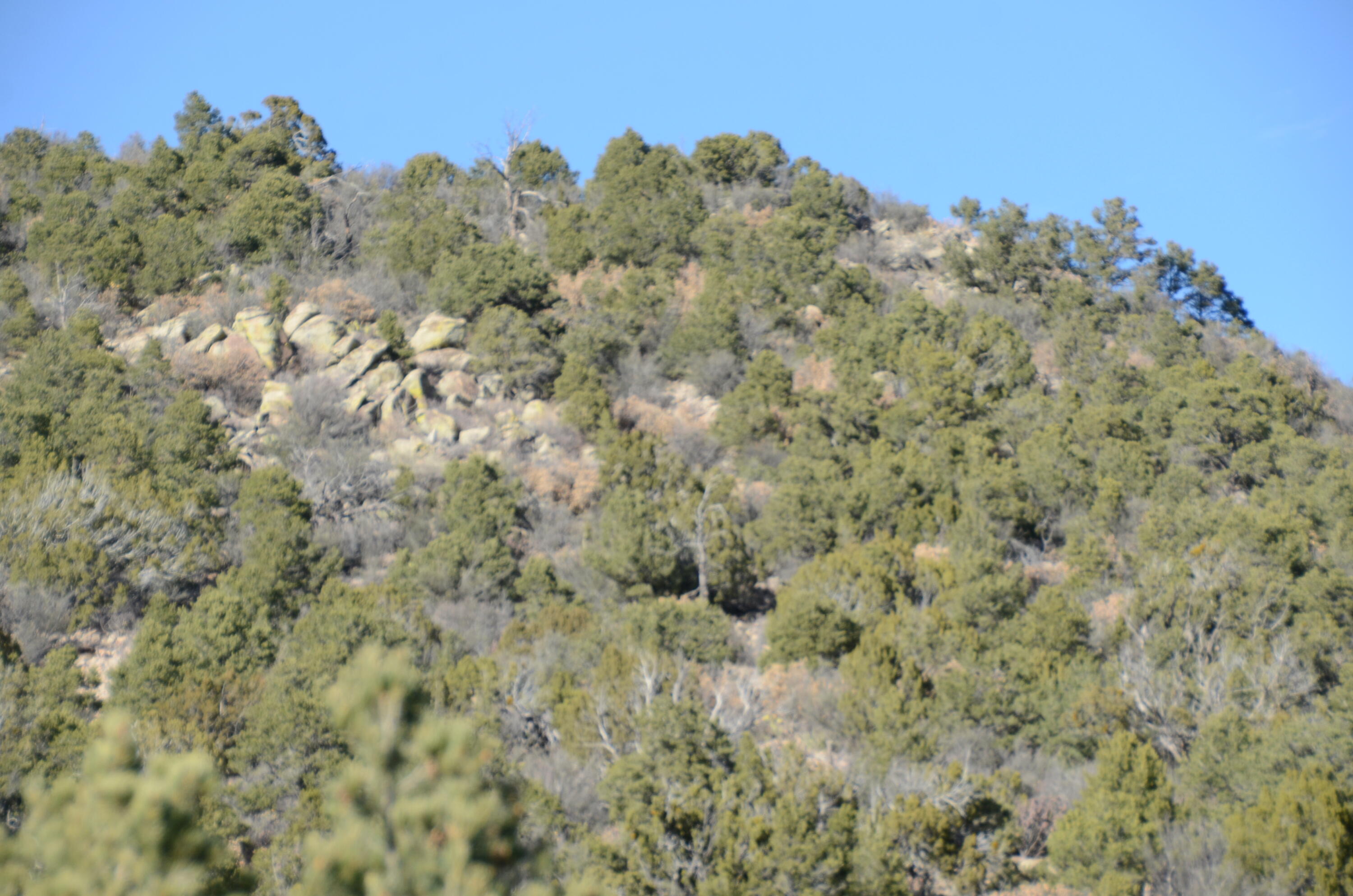 Photo 10 — 80 N Mountain Road