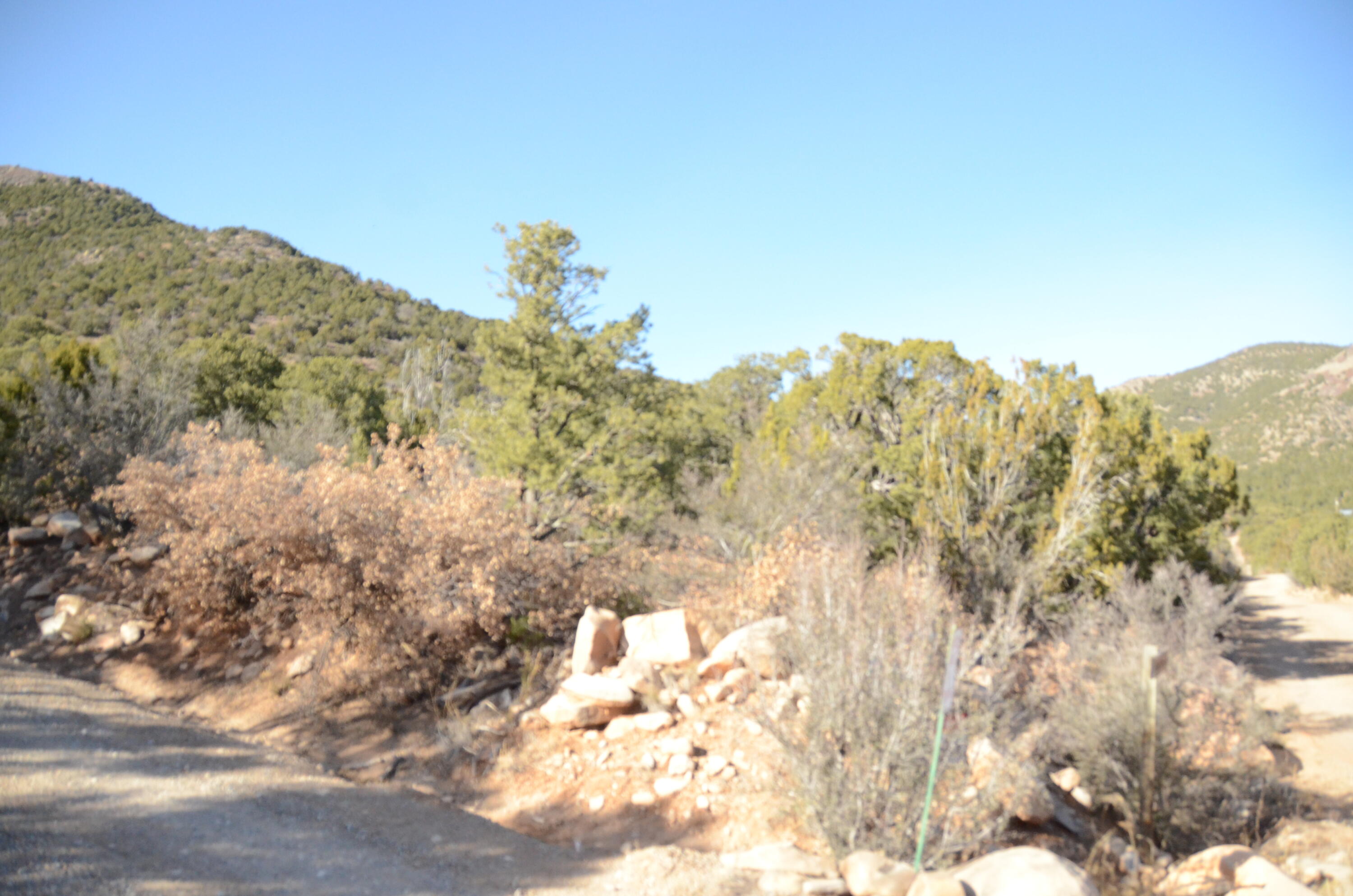 Photo 11 — 80 N Mountain Road