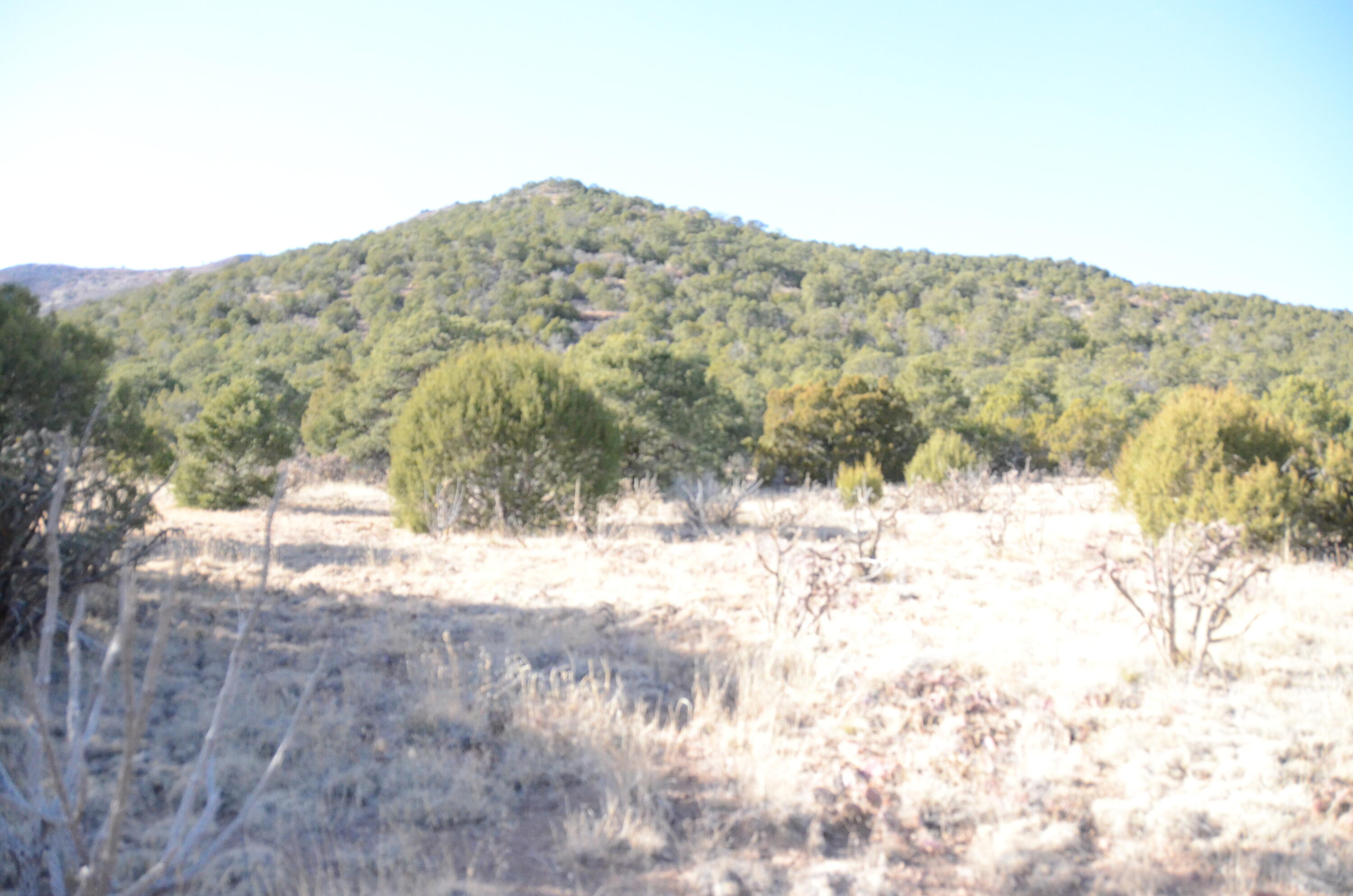 Photo 12 — 80 N Mountain Road