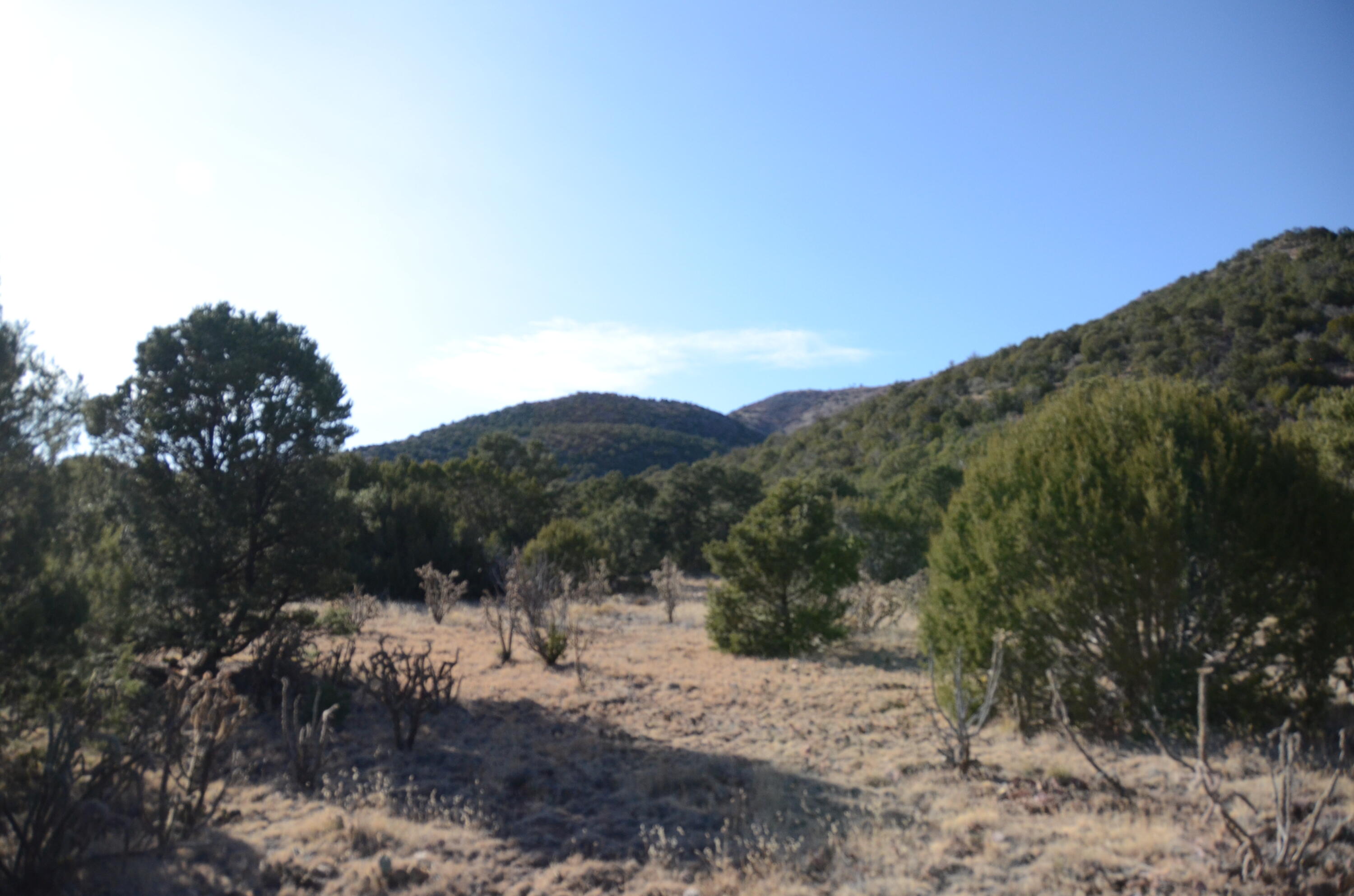 Photo 13 — 80 N Mountain Road