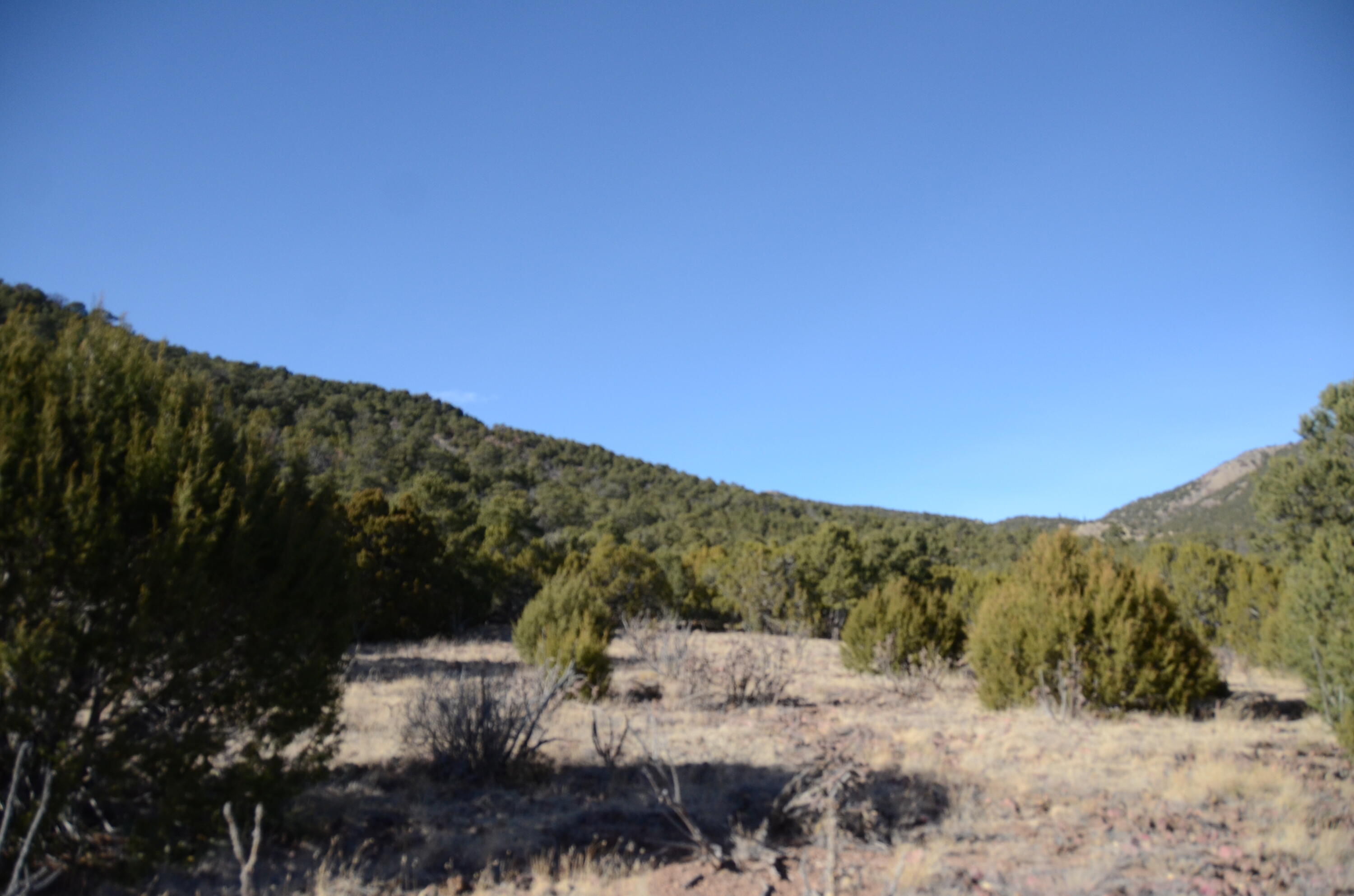 Photo 16 — 80 N Mountain Road