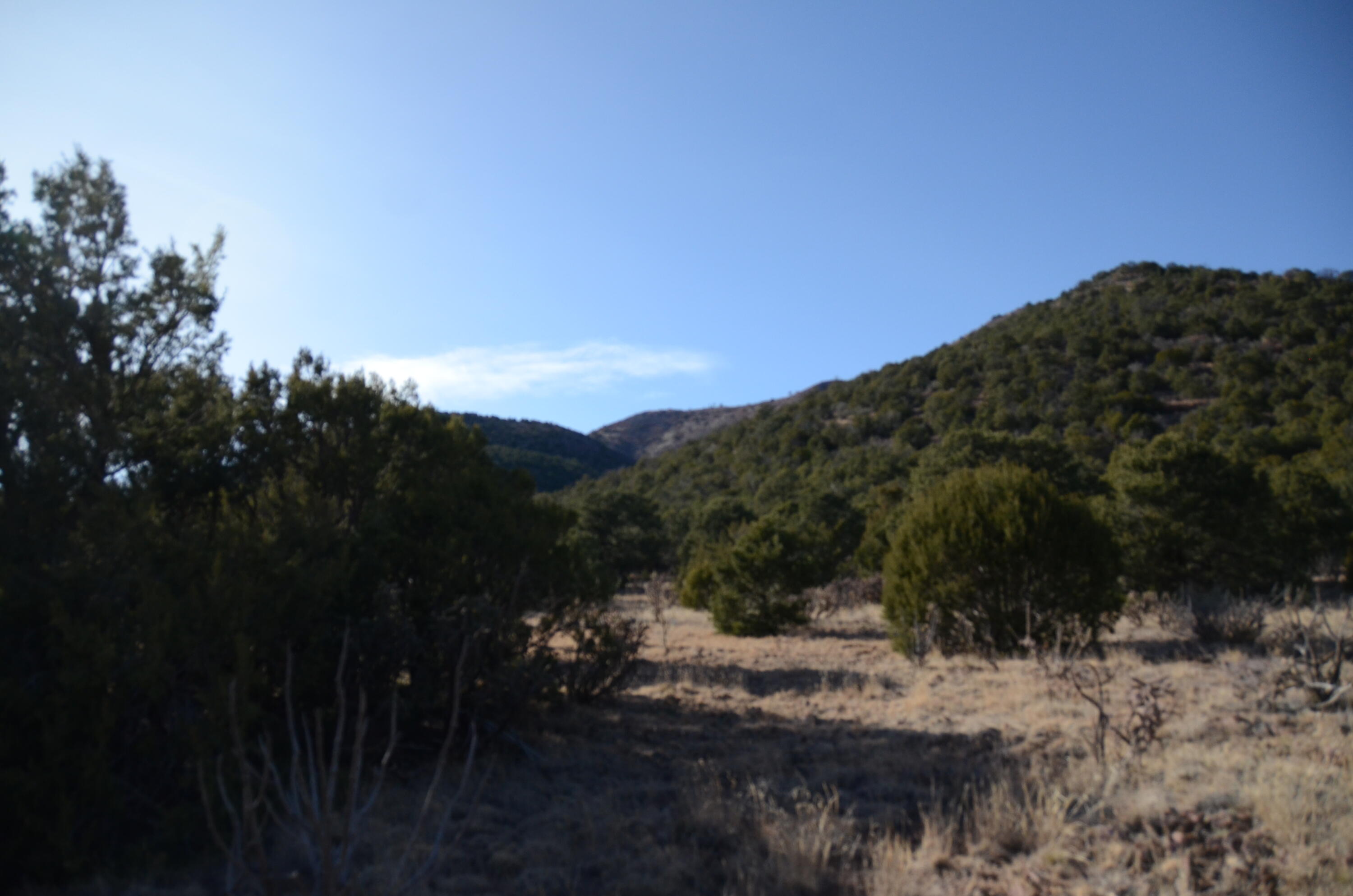 Photo 17 — 80 N Mountain Road