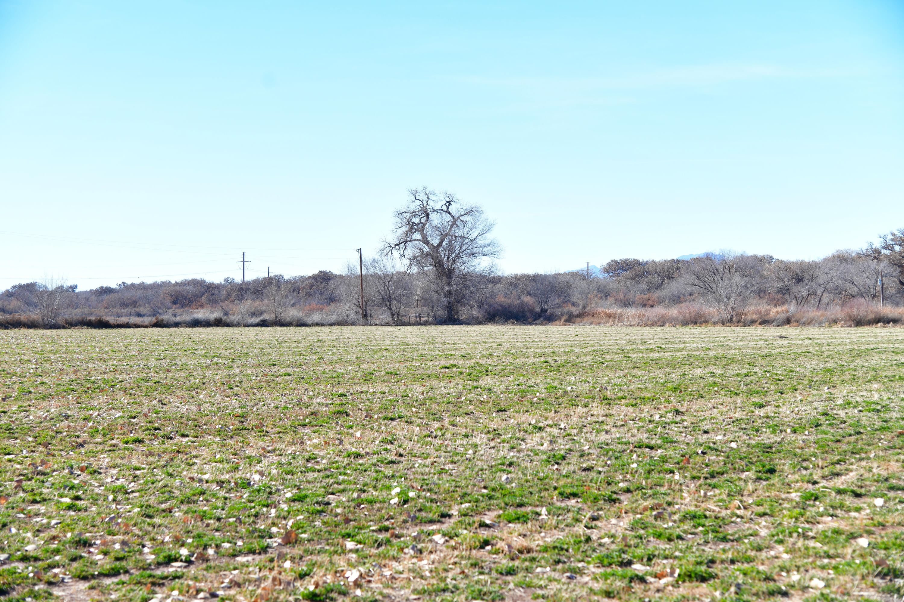 Photo 6 —  Highway 304