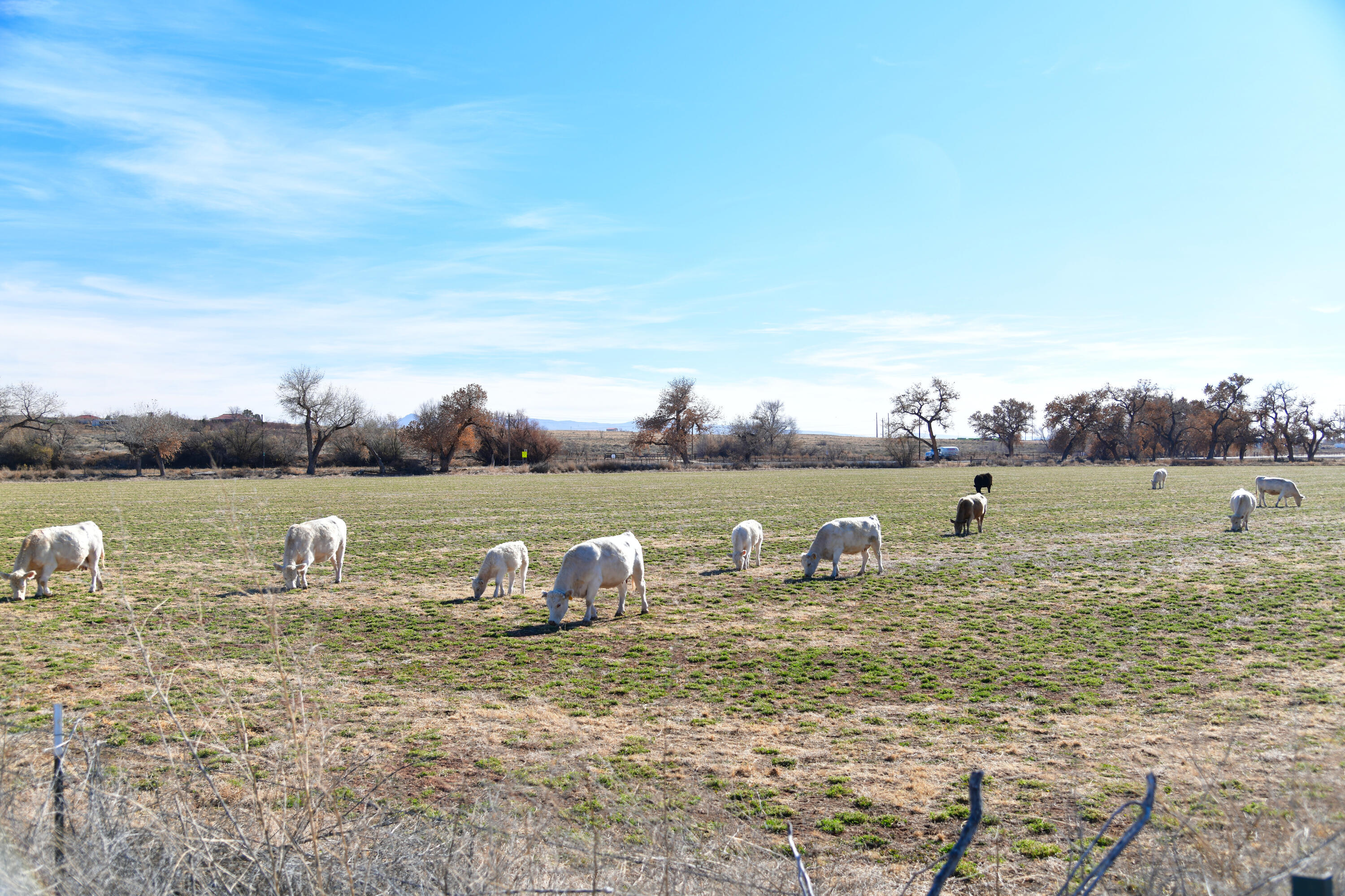 Photo 13 —  Highway 304