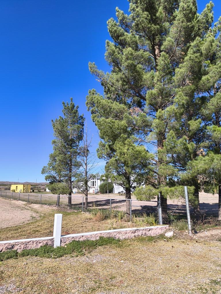 Photo 20 — 127 N Polvadera Road