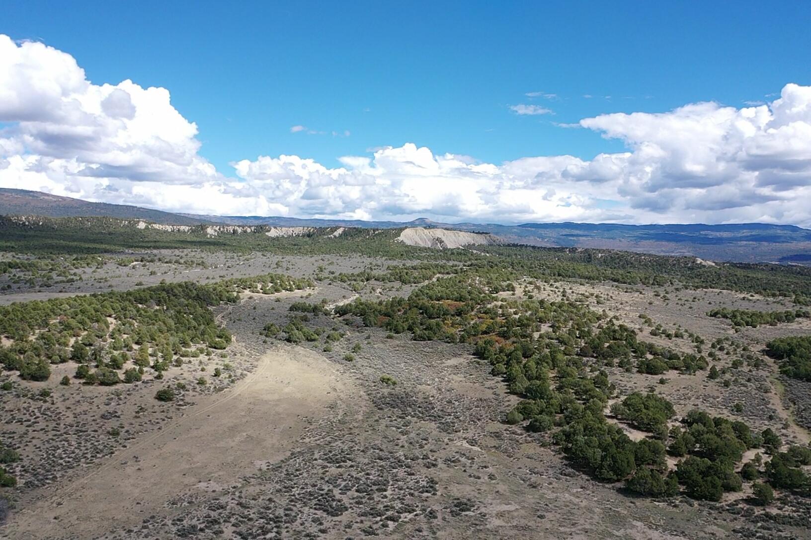 Photo 19 —  S and W Ranch