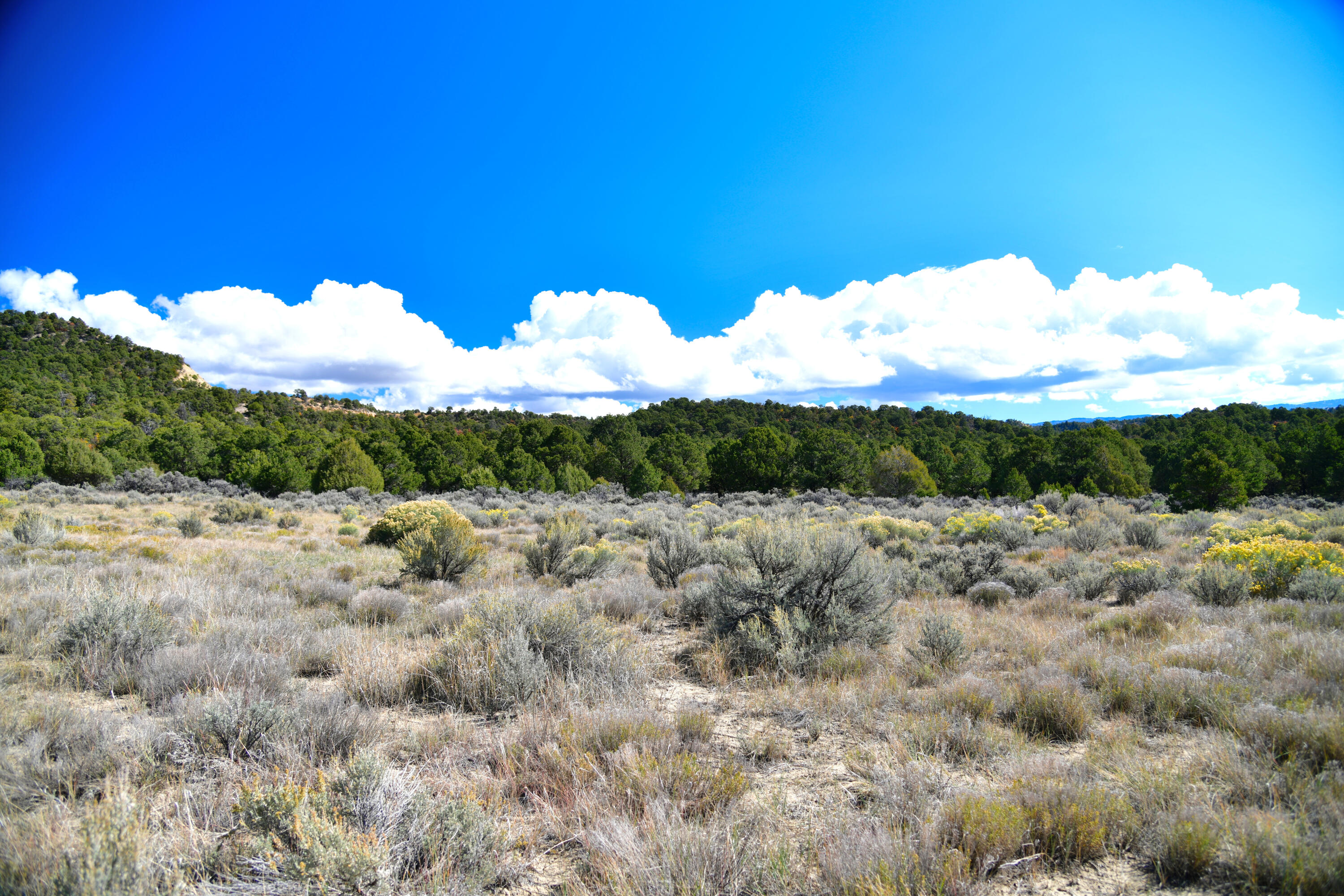 Photo 20 —  S and W Ranch