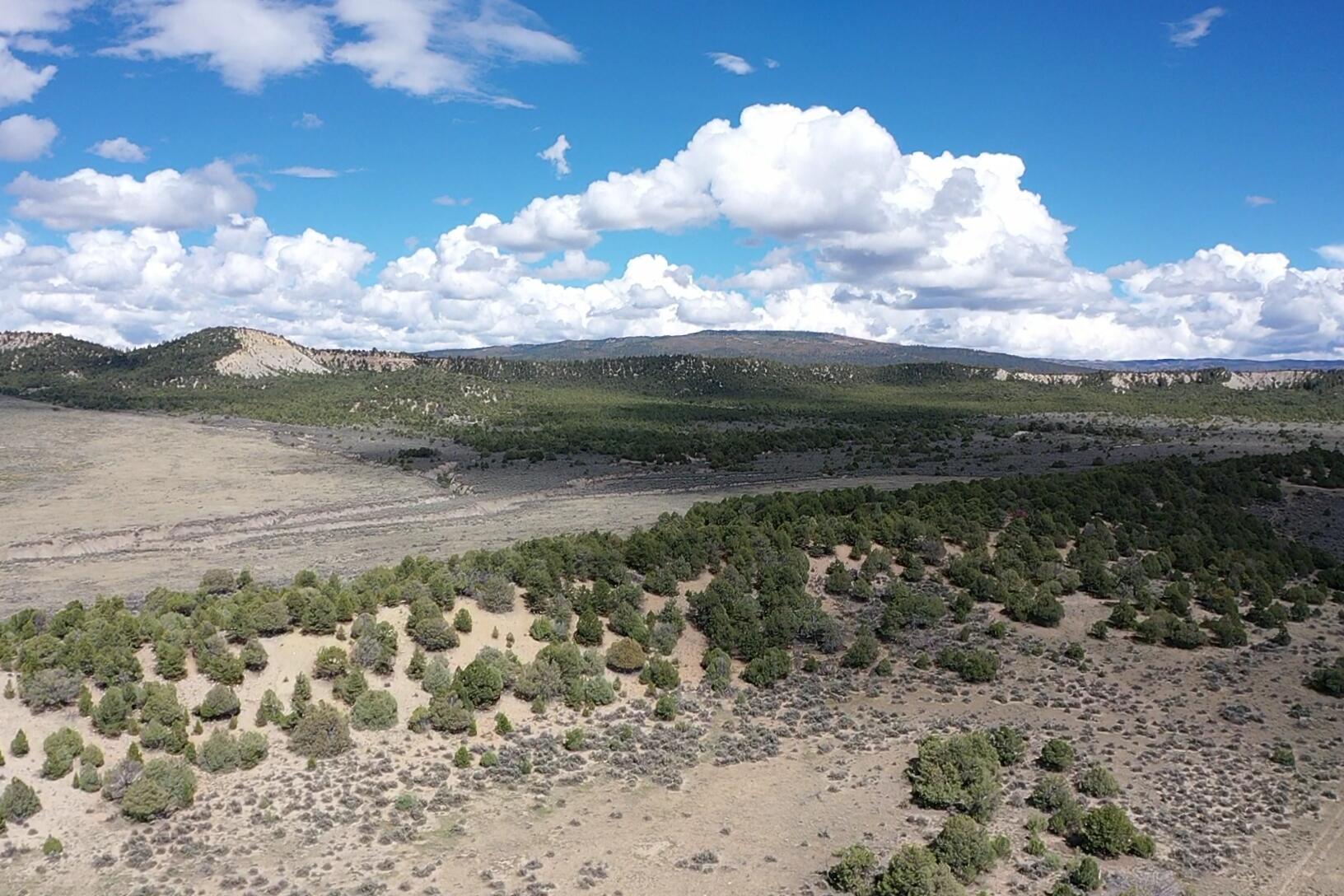 Photo 2 —  S and W Ranch
