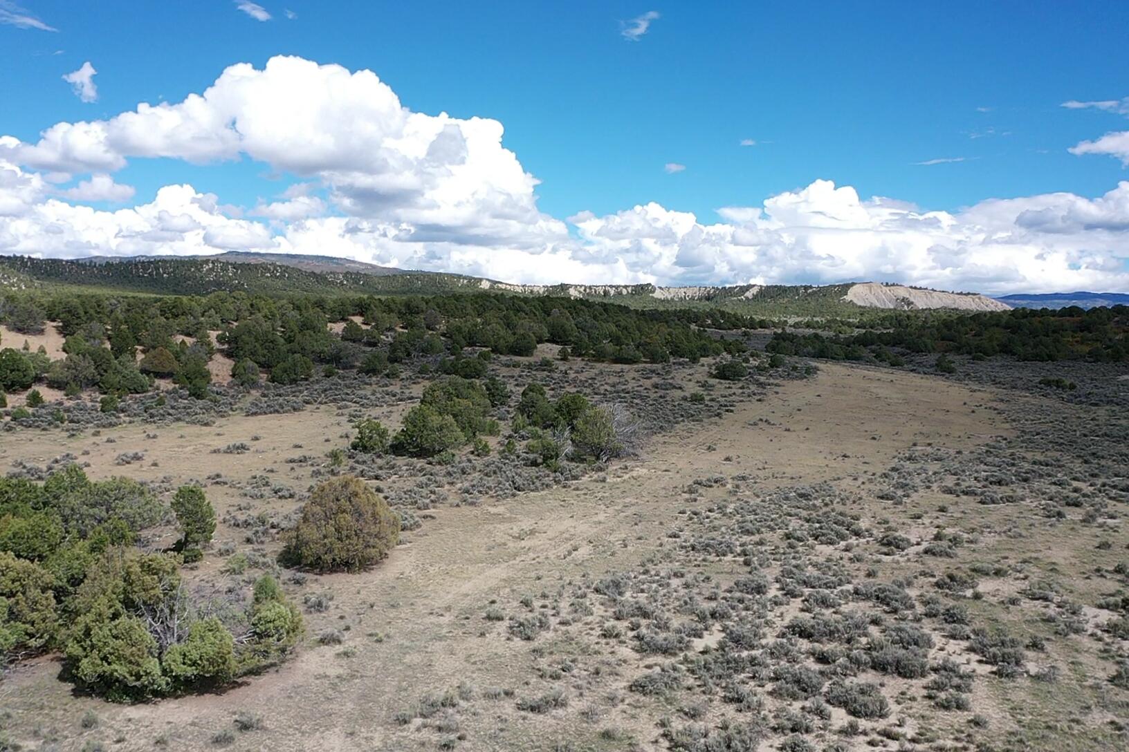 Photo 4 —  S and W Ranch