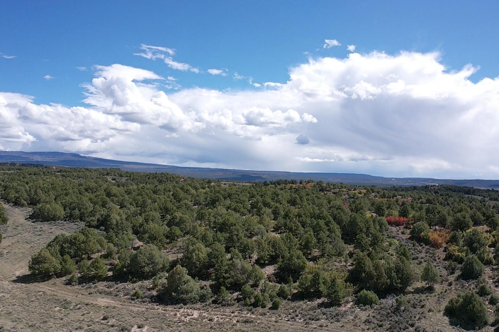 Photo 5 —  S and W Ranch