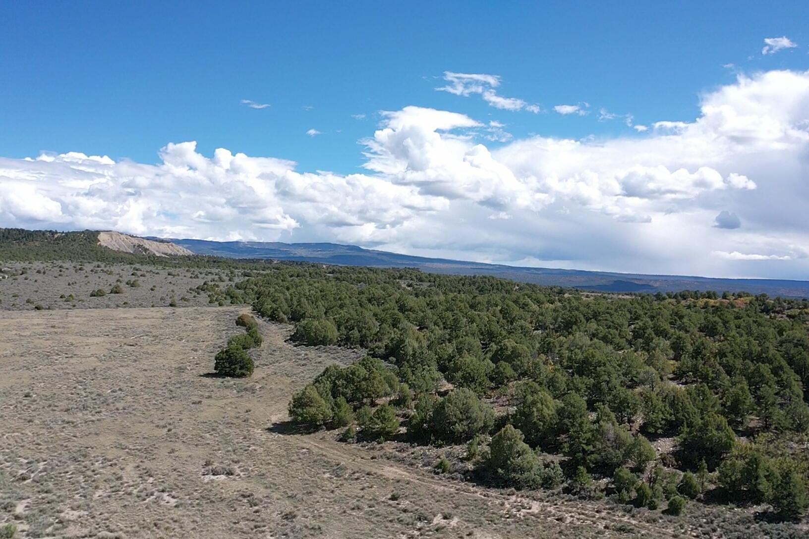 Photo 6 —  S and W Ranch