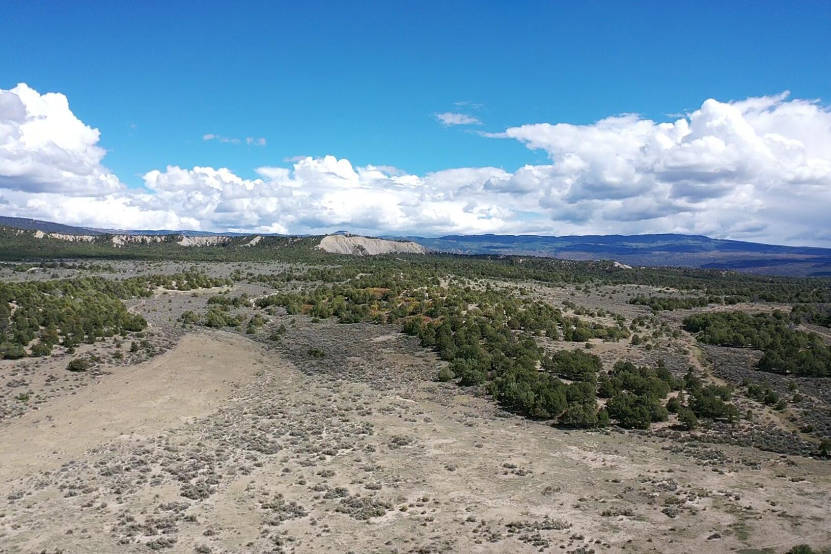 Photo 7 —  S and W Ranch