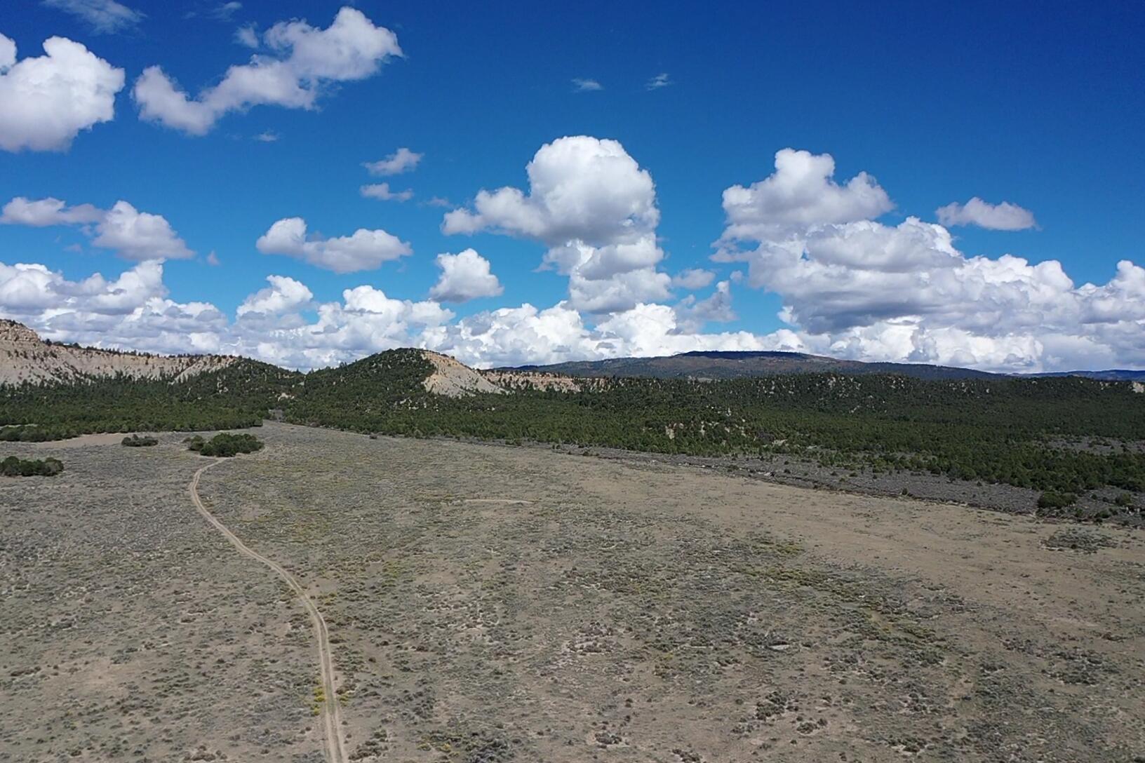 Photo 8 —  S and W Ranch