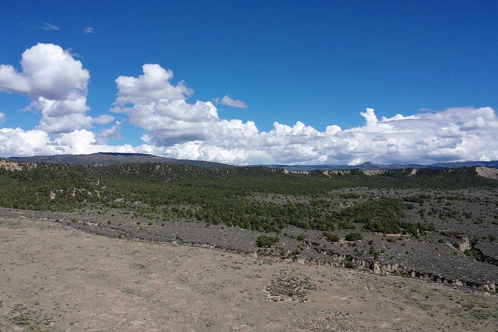 Photo 9 —  S and W Ranch