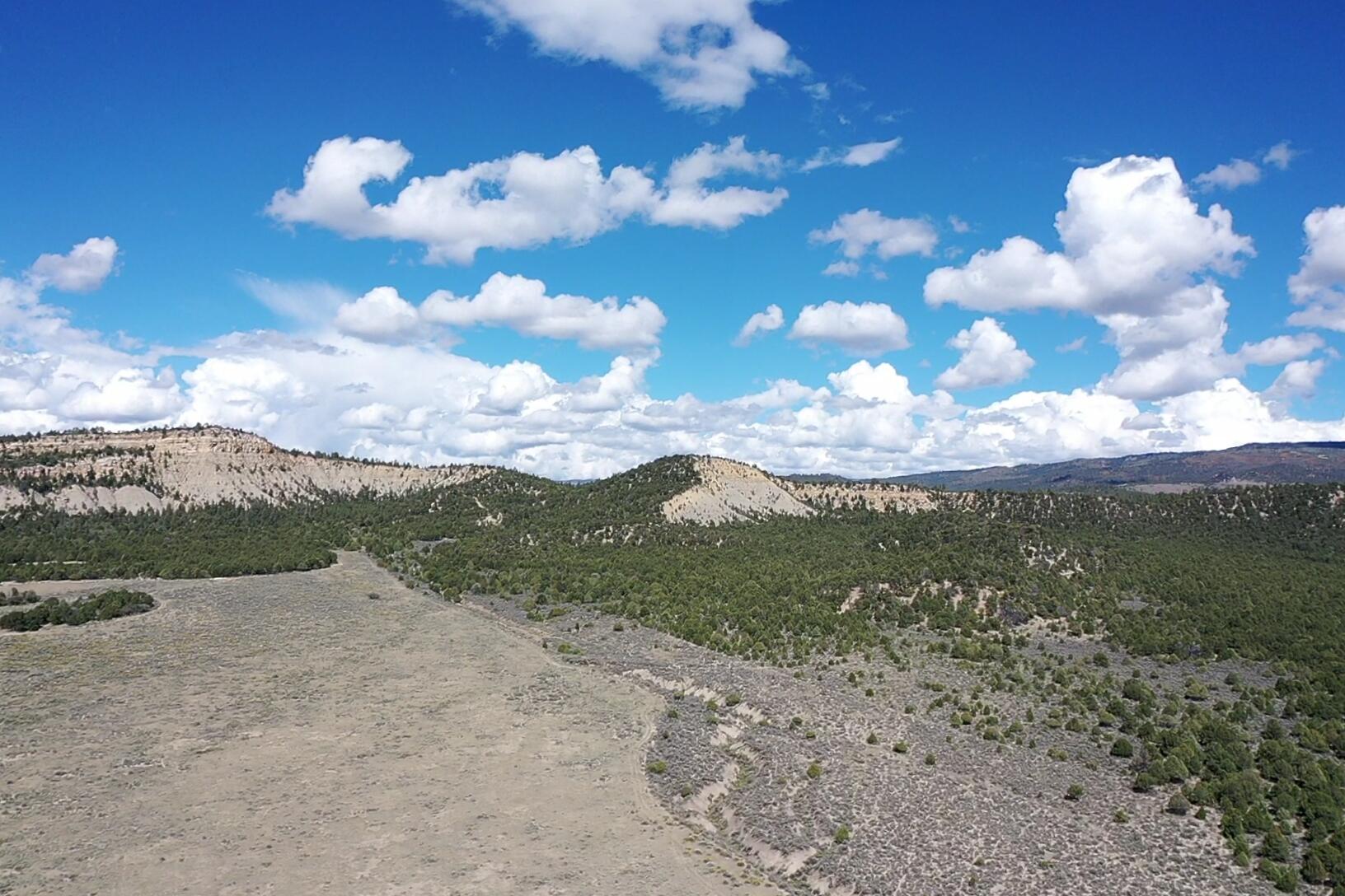 Photo 12 —  S and W Ranch