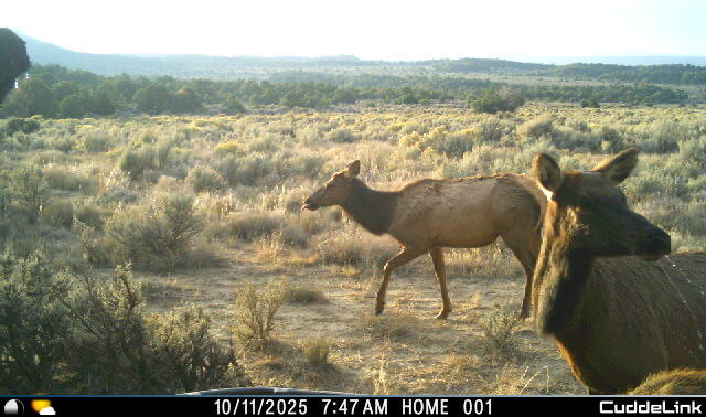 Photo 15 —  S and W Ranch