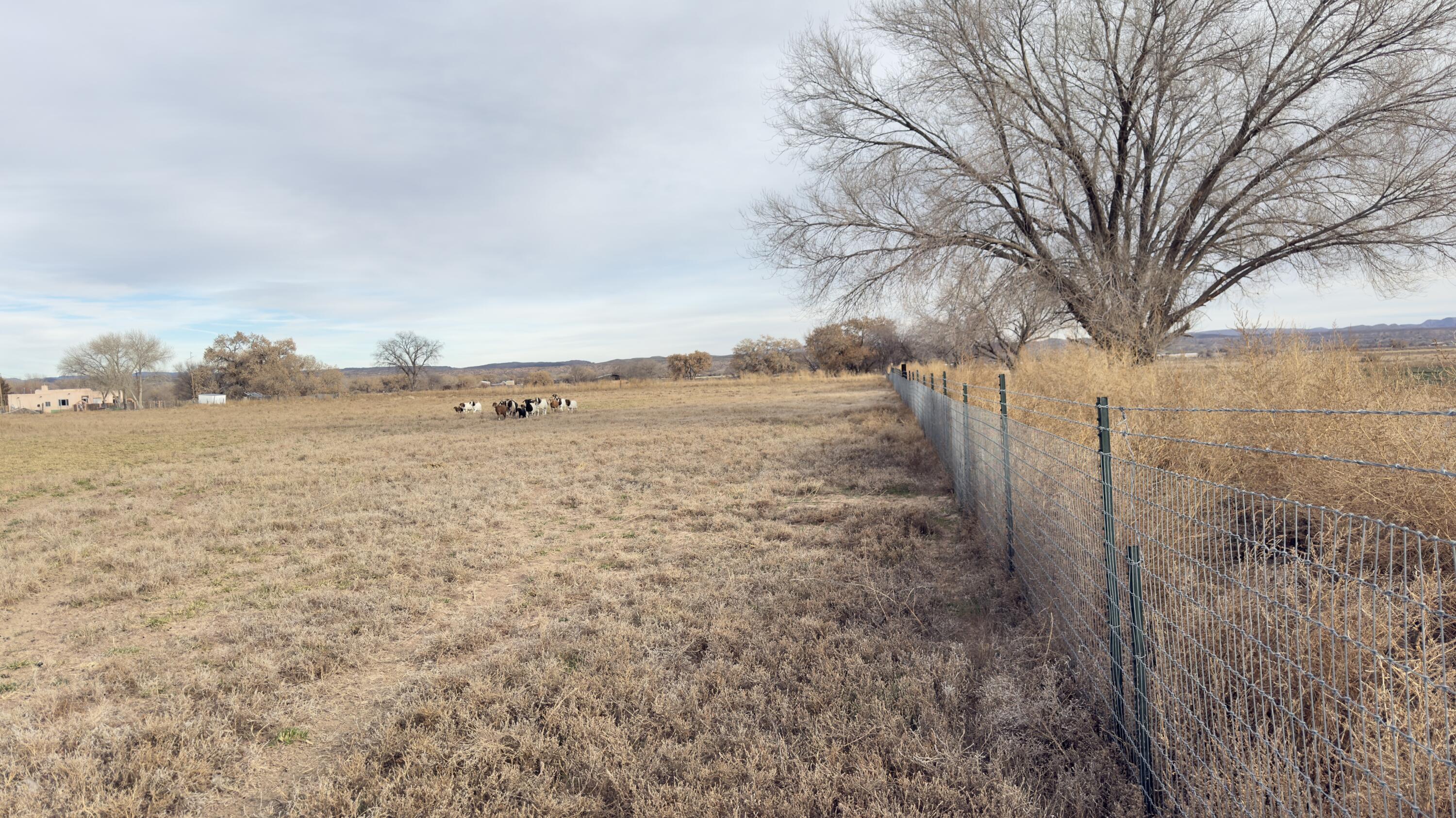 Photo 4 — 2 Community Road