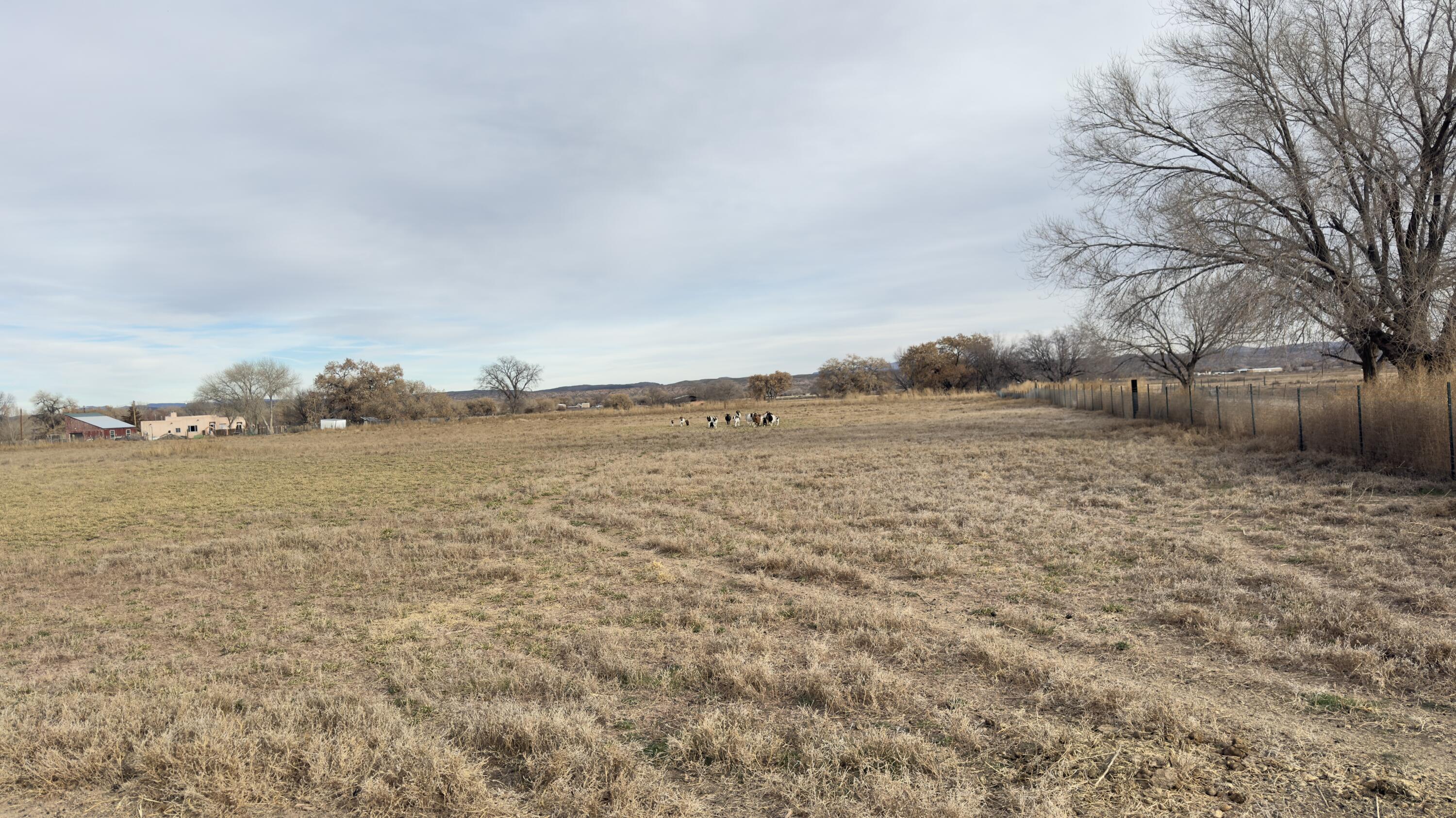 Photo 3 — 2 Community Road