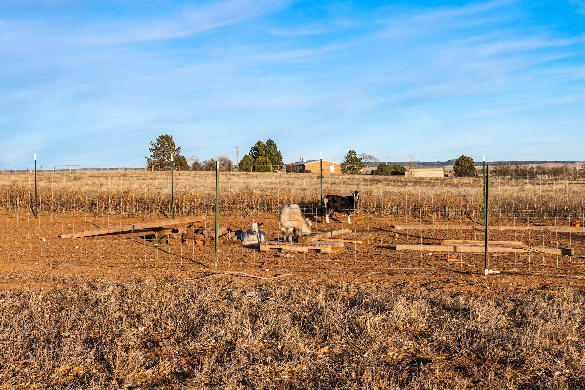 Photo 12 — 1257 Dinkle Road 1257