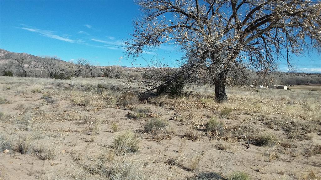 Photo 3 —  Lot 5 El Porvenir