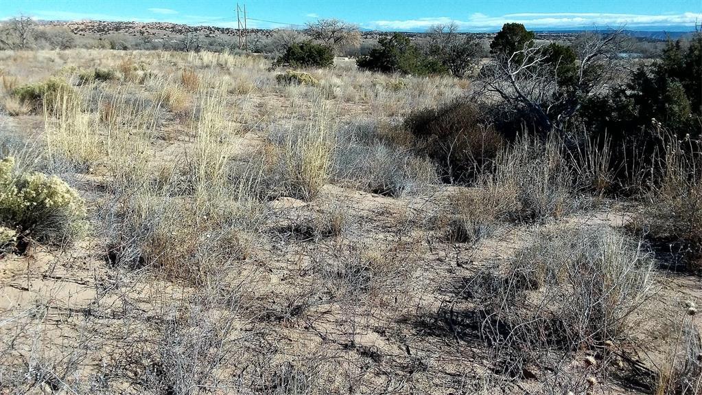 Photo 4 —  Lot 5 El Porvenir