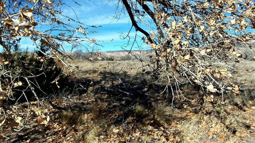 Photo 5 —  Lot 5 El Porvenir