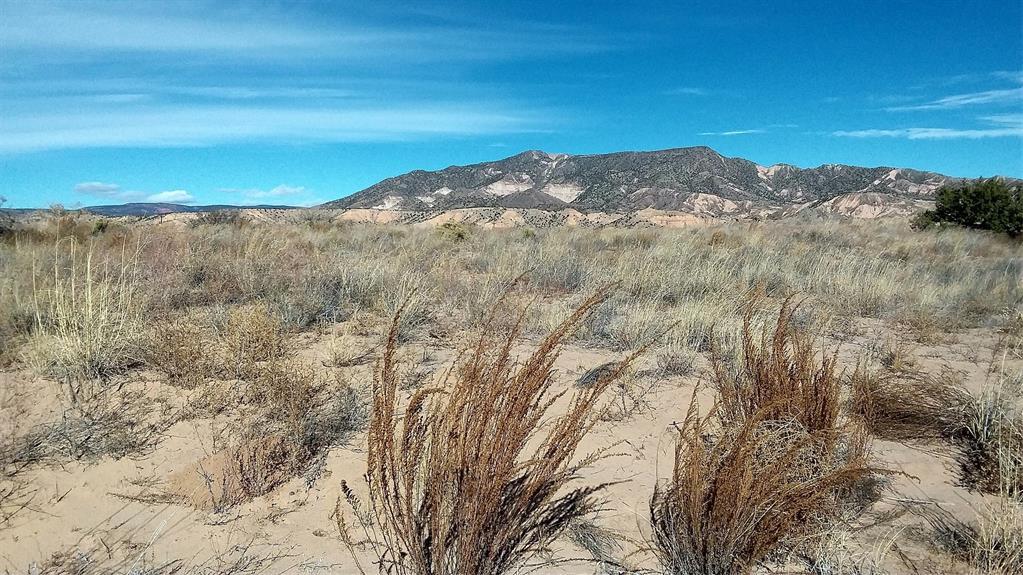 Photo 6 —  Lot 5 El Porvenir