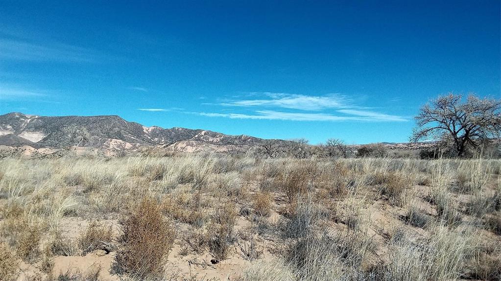 Photo 7 —  Lot 5 El Porvenir