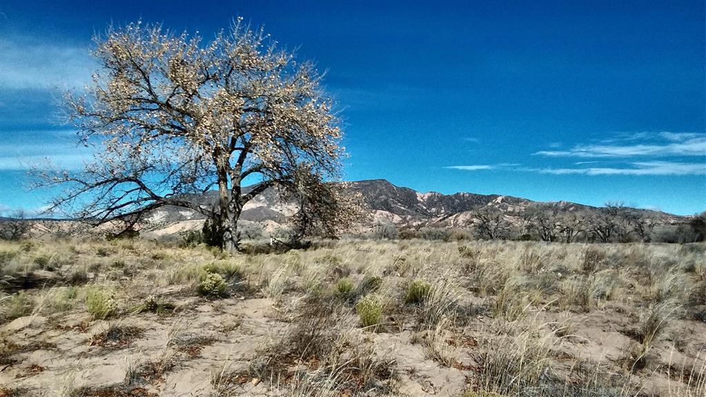 Photo 13 —  Lot 5 El Porvenir