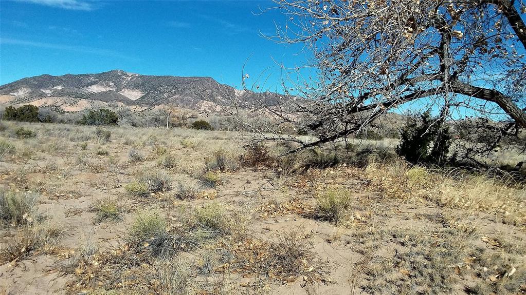 Photo 11 —  Lot 5 El Porvenir