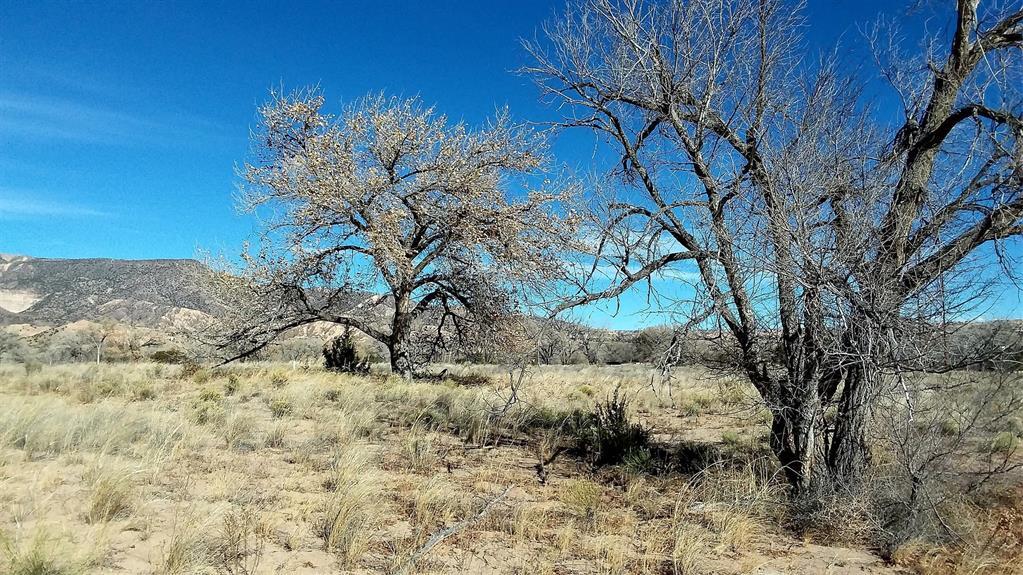 Photo 16 —  Lot 5 El Porvenir