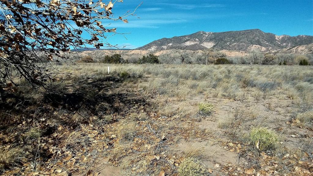 Photo 18 —  Lot 5 El Porvenir