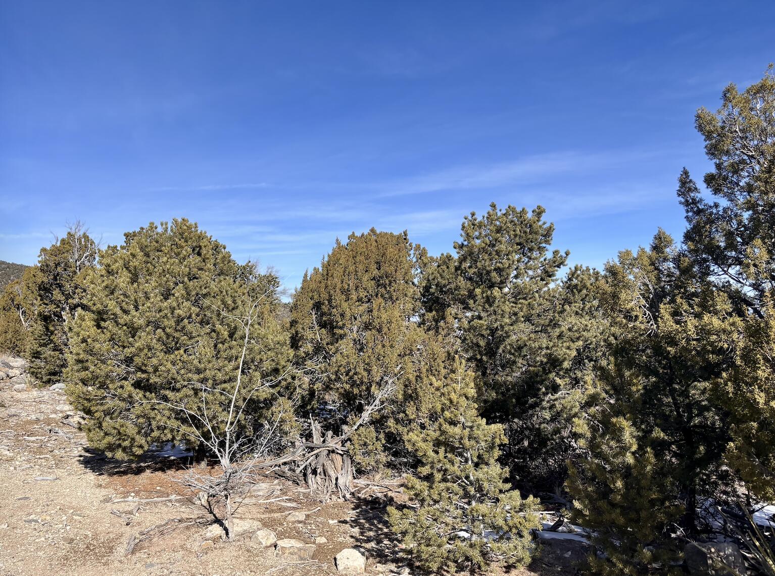 Photo 17 —  Subd:MOUNTAIN VIEW ACRES Lot:6